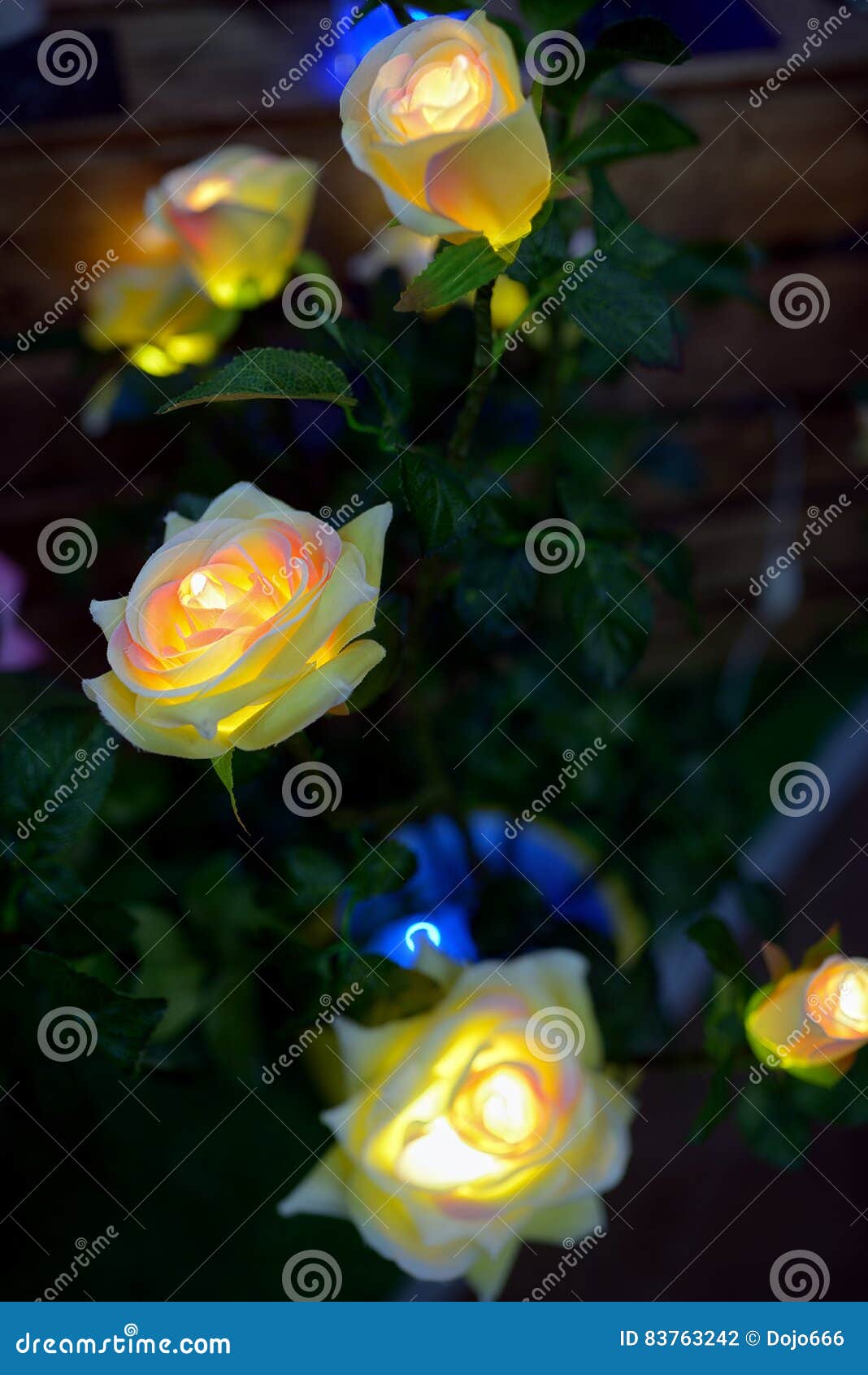 Handmade Flower with LED Light Stock Photo Image of glamour, bokeh