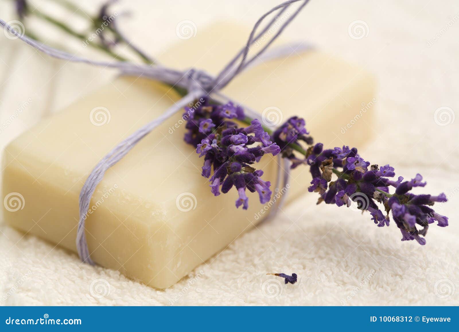 Handmade lavender soap stock photo. Image of soap, blossom 10068312