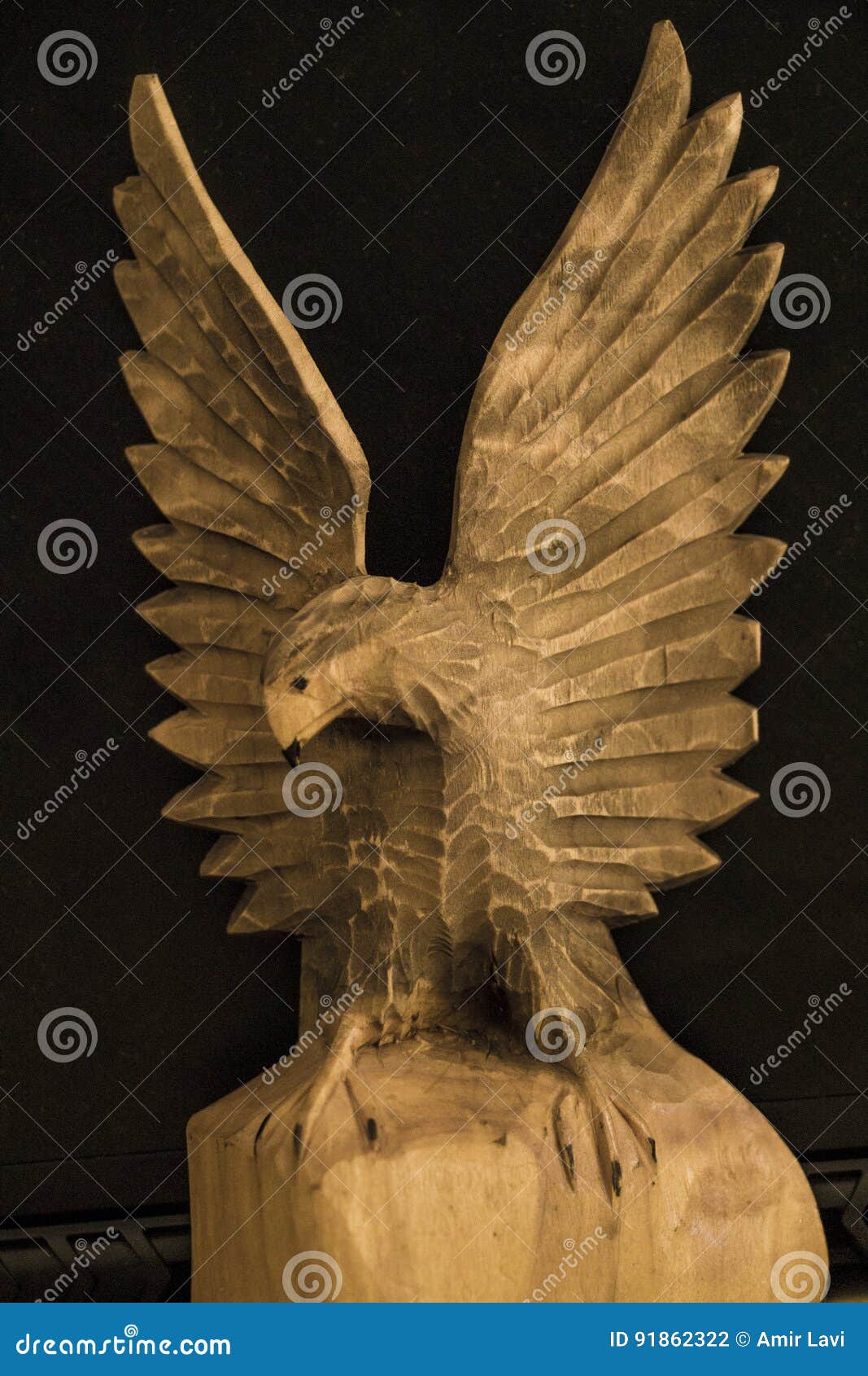 Handmade Wooden Eagle stock photo. Image of eagle, wood 91862322