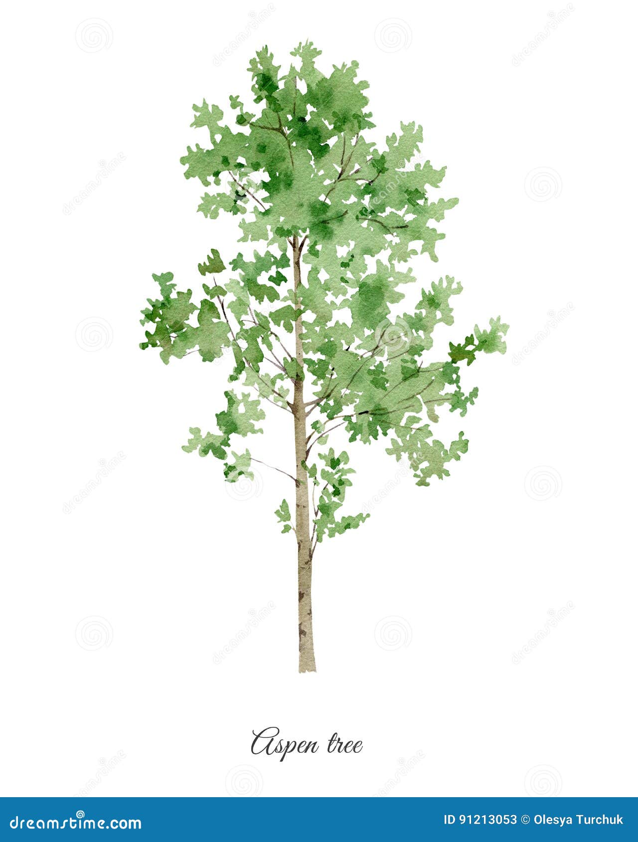 handpainted watercolor poster with aspen tree