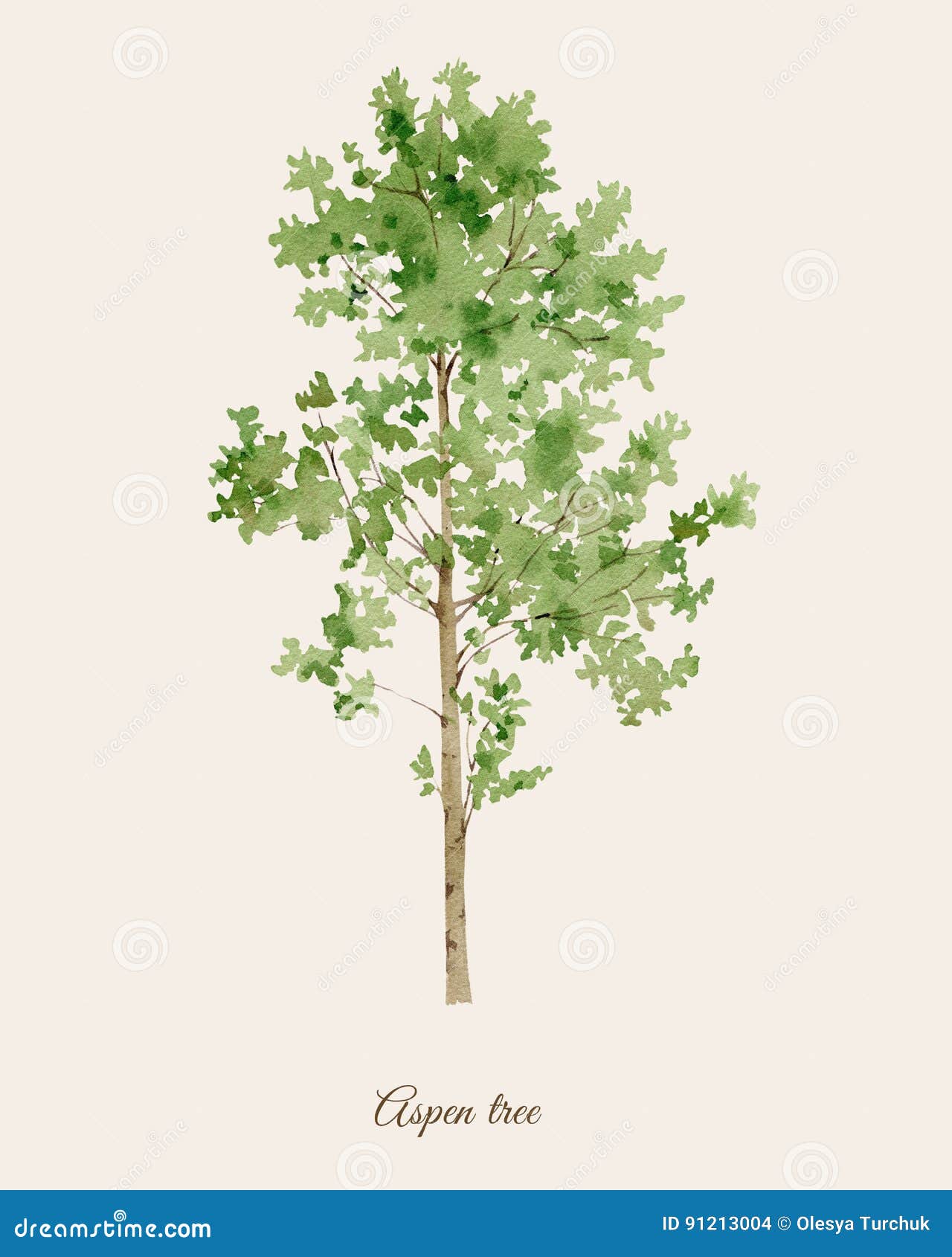 Line drawing of a tree with the name aspen on Craiyon