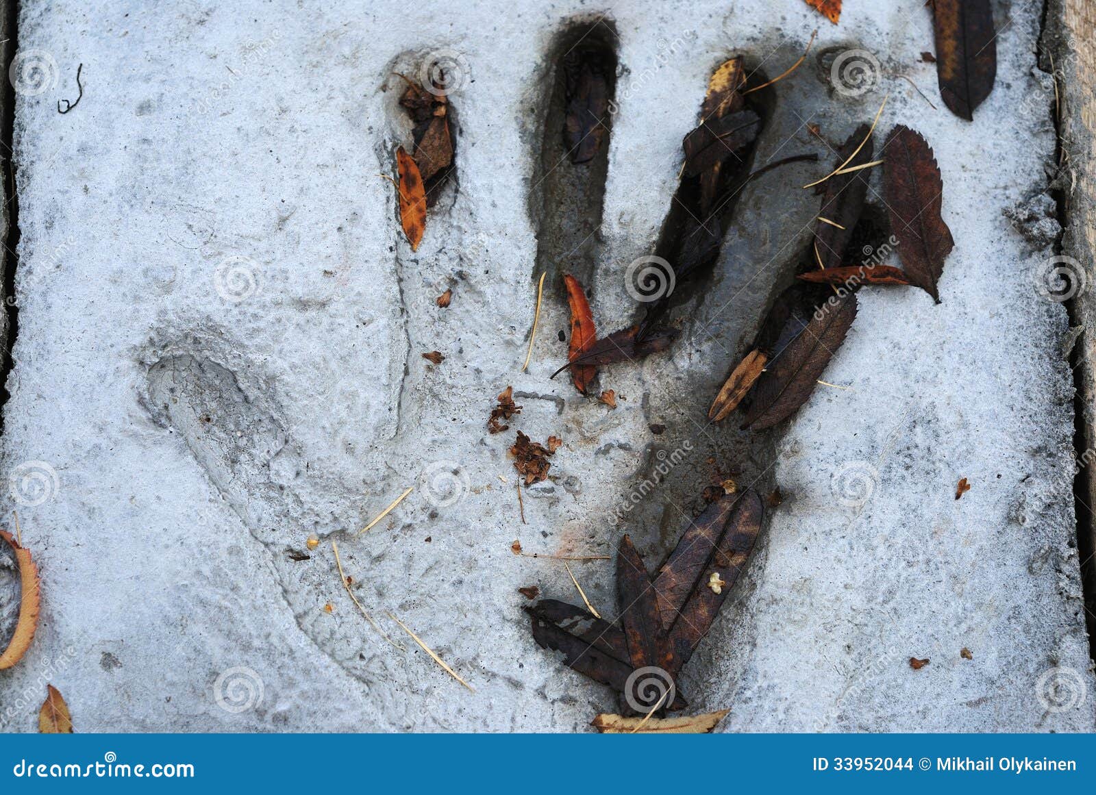 Handprint in cement stock photo. Image of textured, single - 33952044