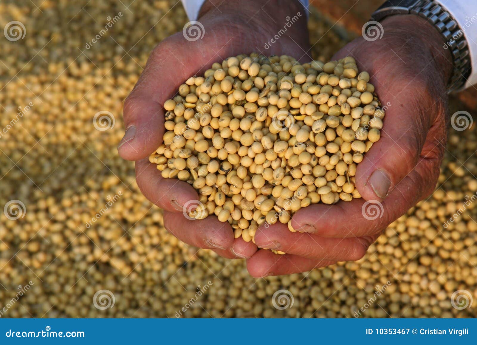 hands bring soya