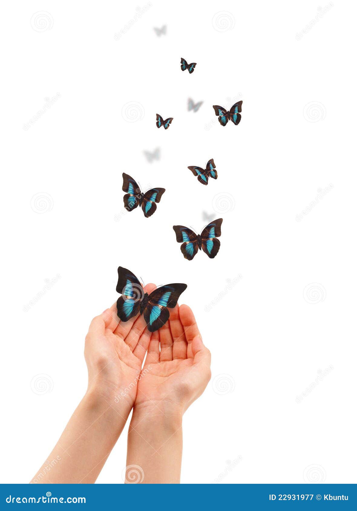 Hands with Butterflies stock image. Image of spring, aids 22931977