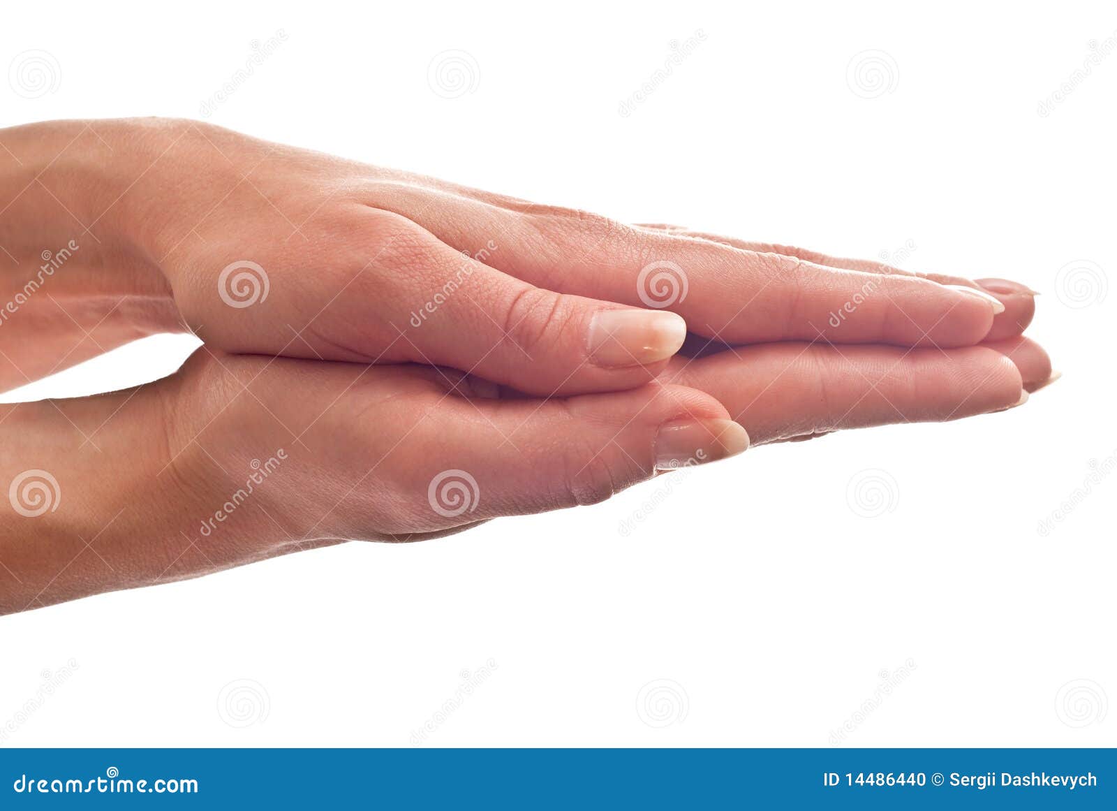 closed hands outline closed hands outline