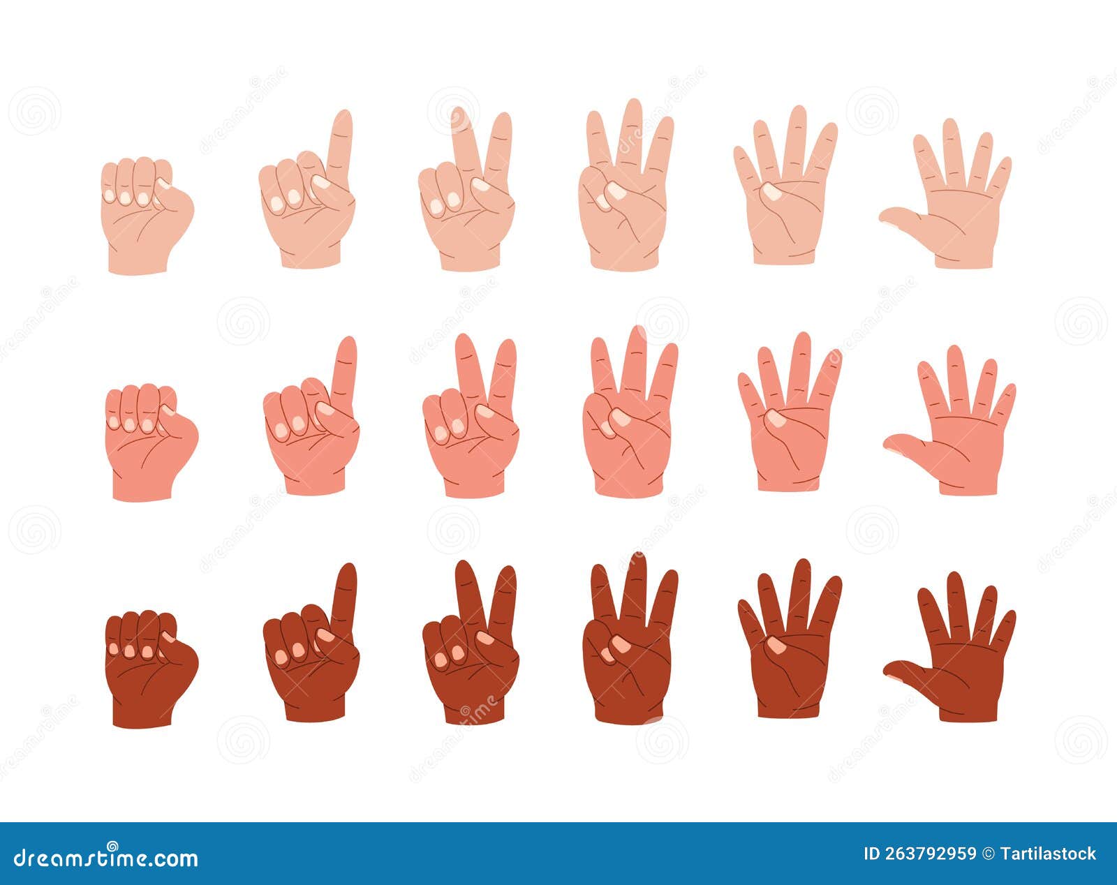 Hands Count. Cartoon Multiracial Human Palm Gestures Showing Numbers by ...