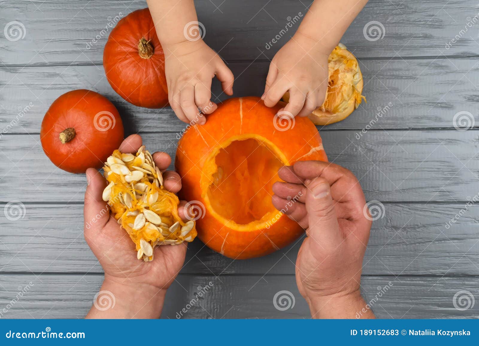 hands of a daughter and father who pulls seeds and fibrous material from a pumpkin before carving for halloween. party