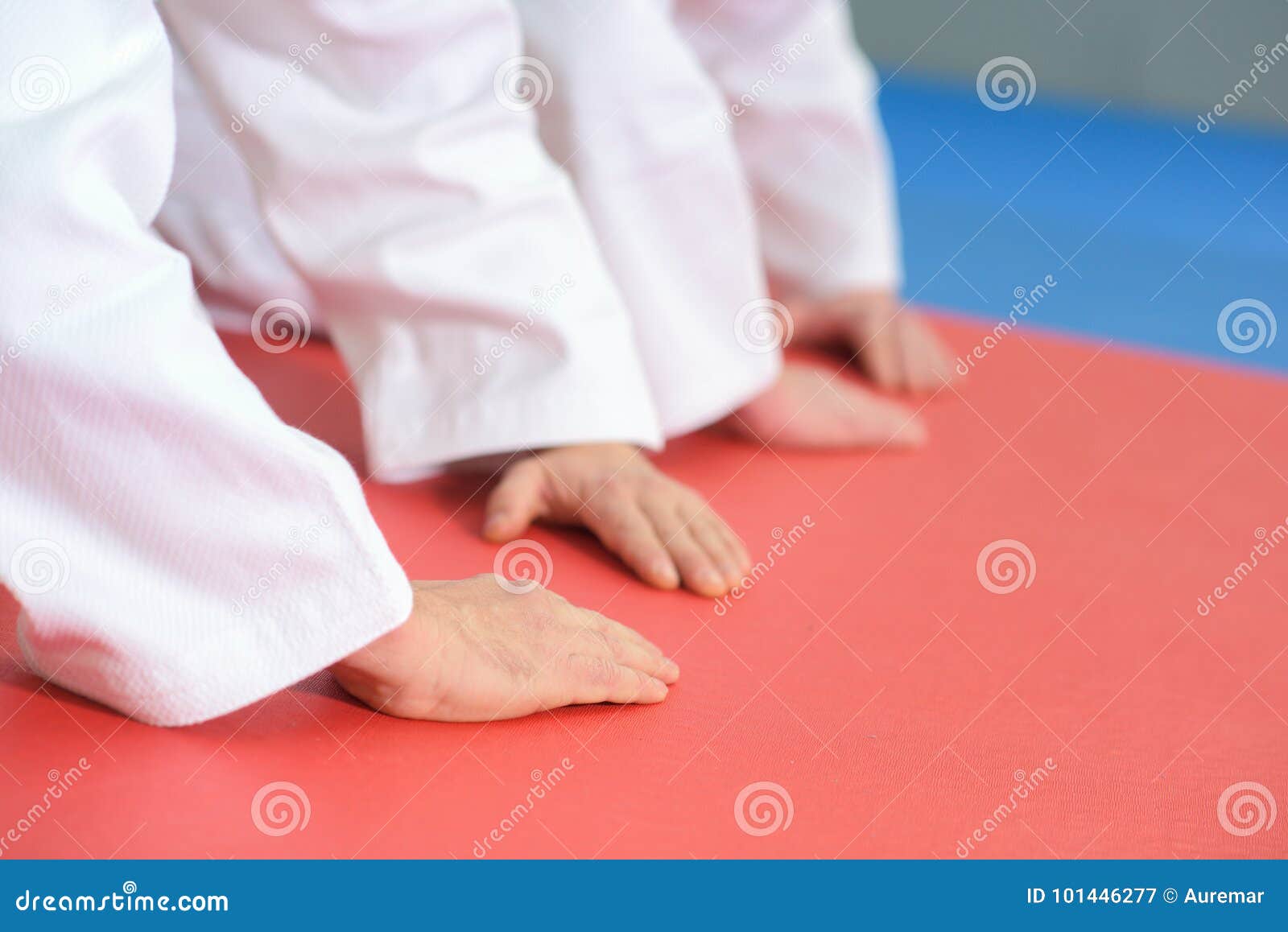 Hands on Floor during Martial Arts Practice Stock Image Image of