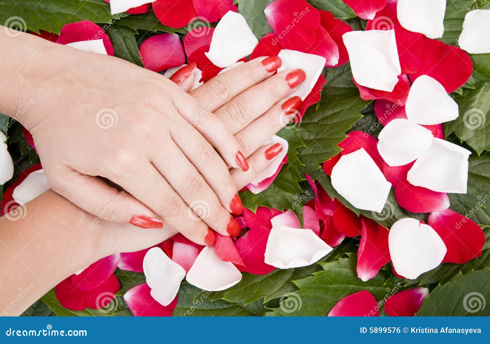 Hands and Flowers stock photo. Image of background, leisure 5899576