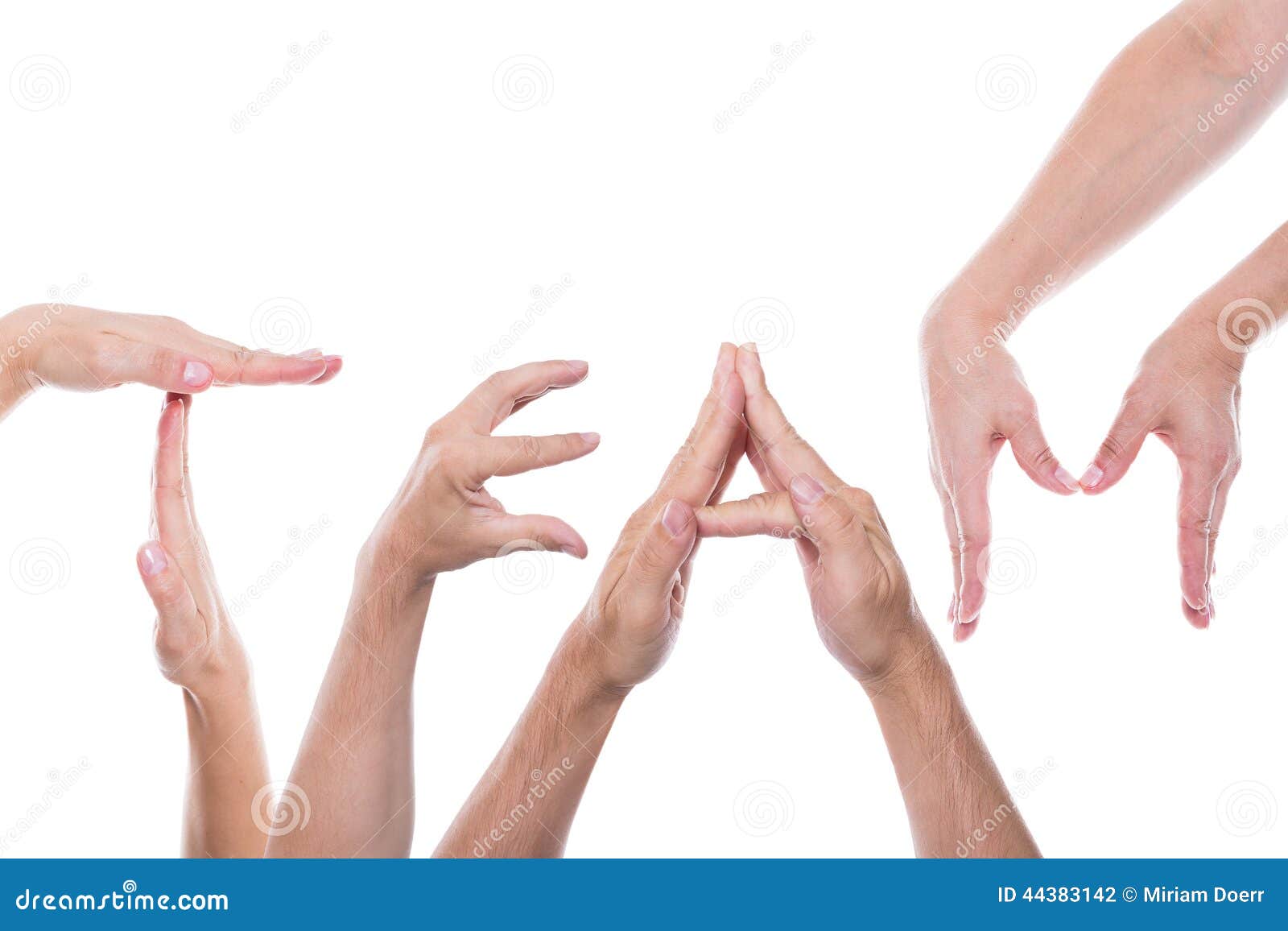 hands form the word team stock photo image of isolated 44383142 form team