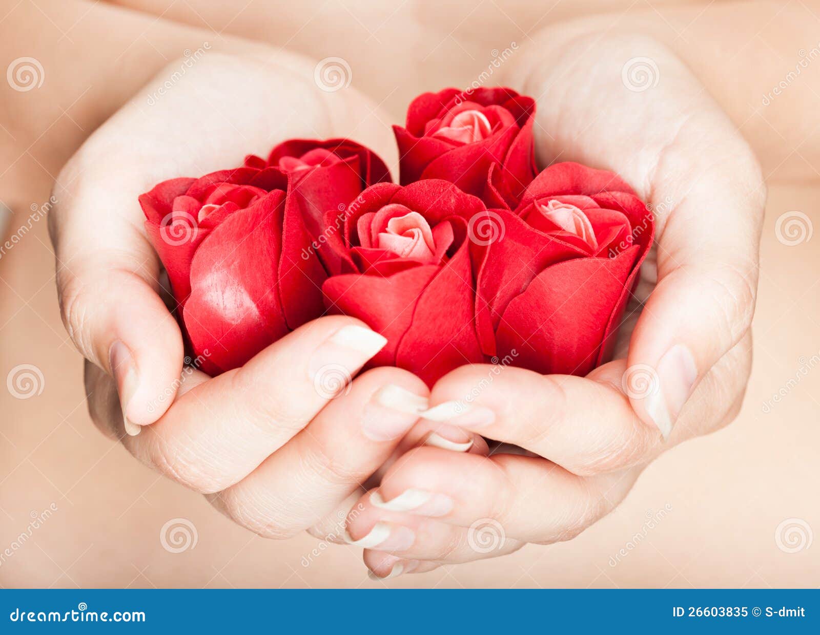 hands are full of rosebuds
