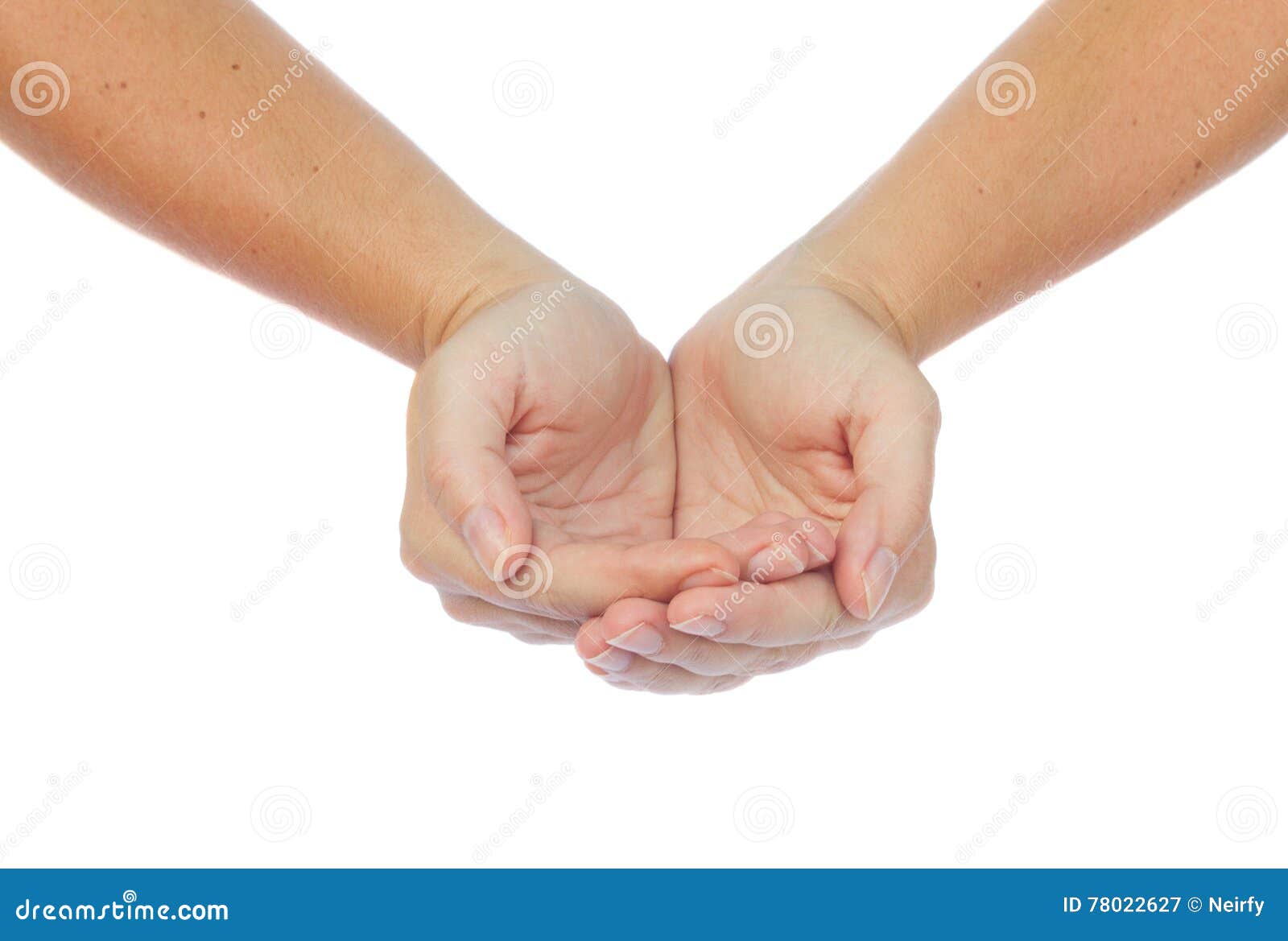 Hands Gesture On White Stock Image Image Of Gesturing