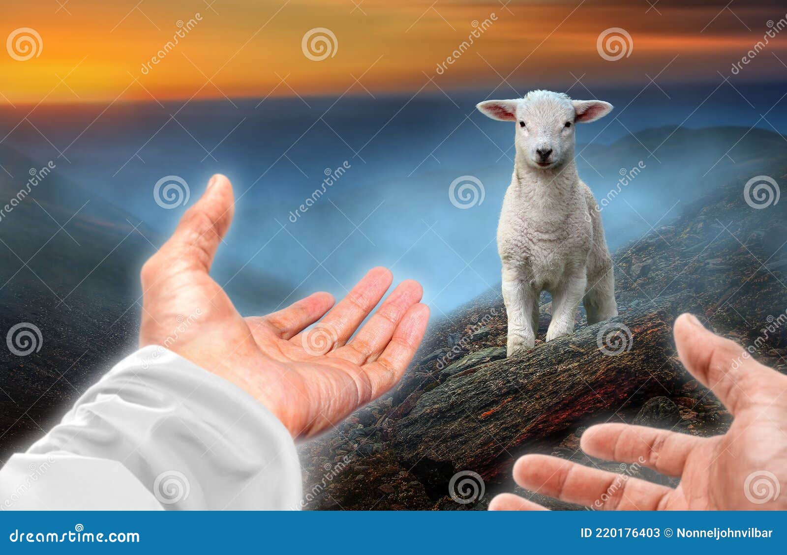 hands of god reaching out to a lost sheep