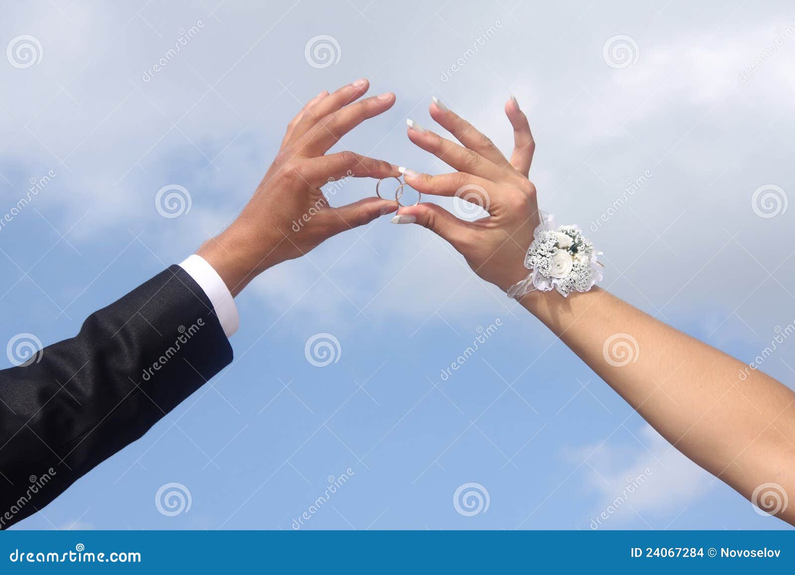Hands of Groom and Bride Hold Wedding Rings. Stock Photo Image of