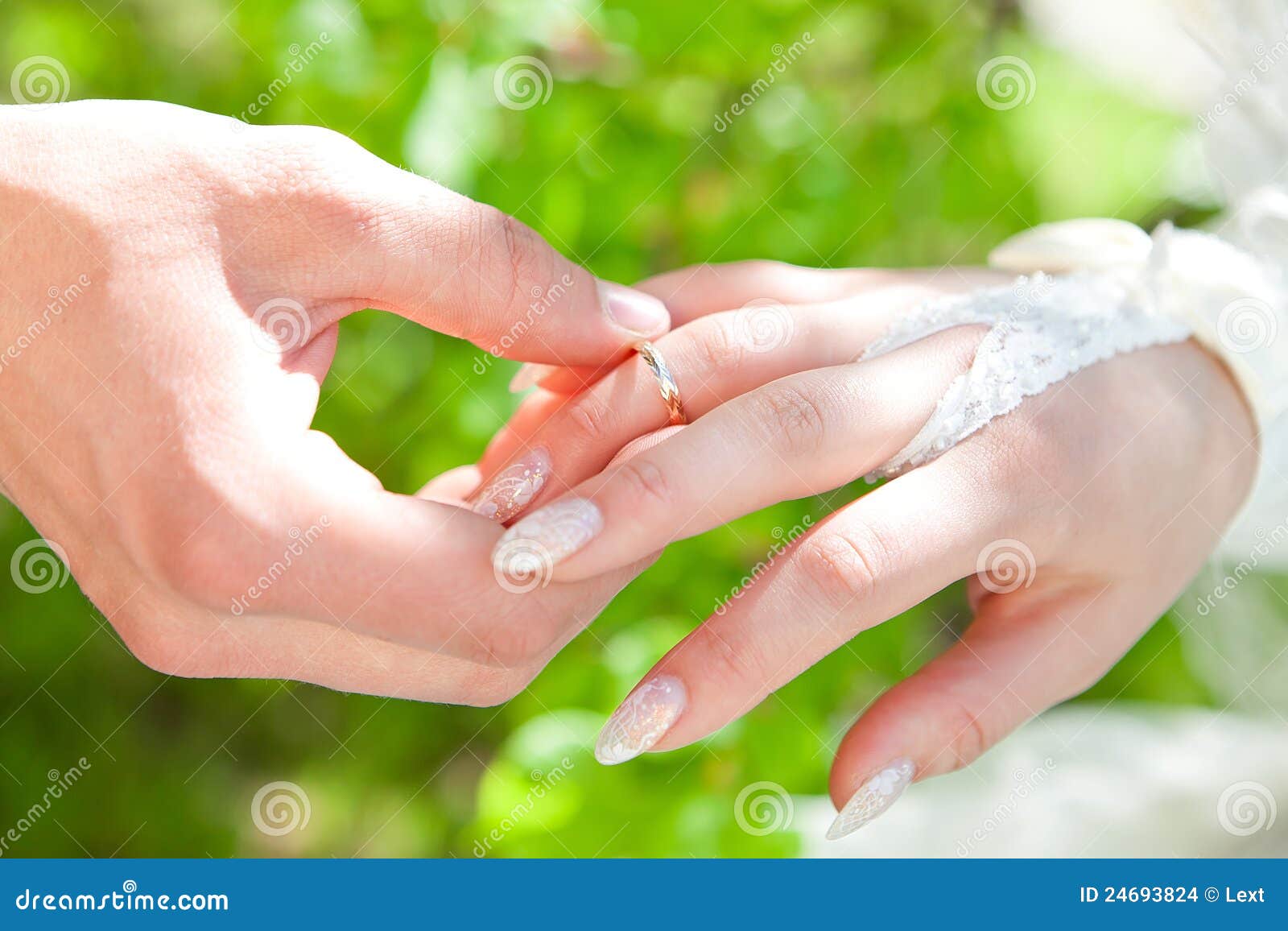 Hands of the Groom and the Bride with Wedding Ring Stock Photo Image