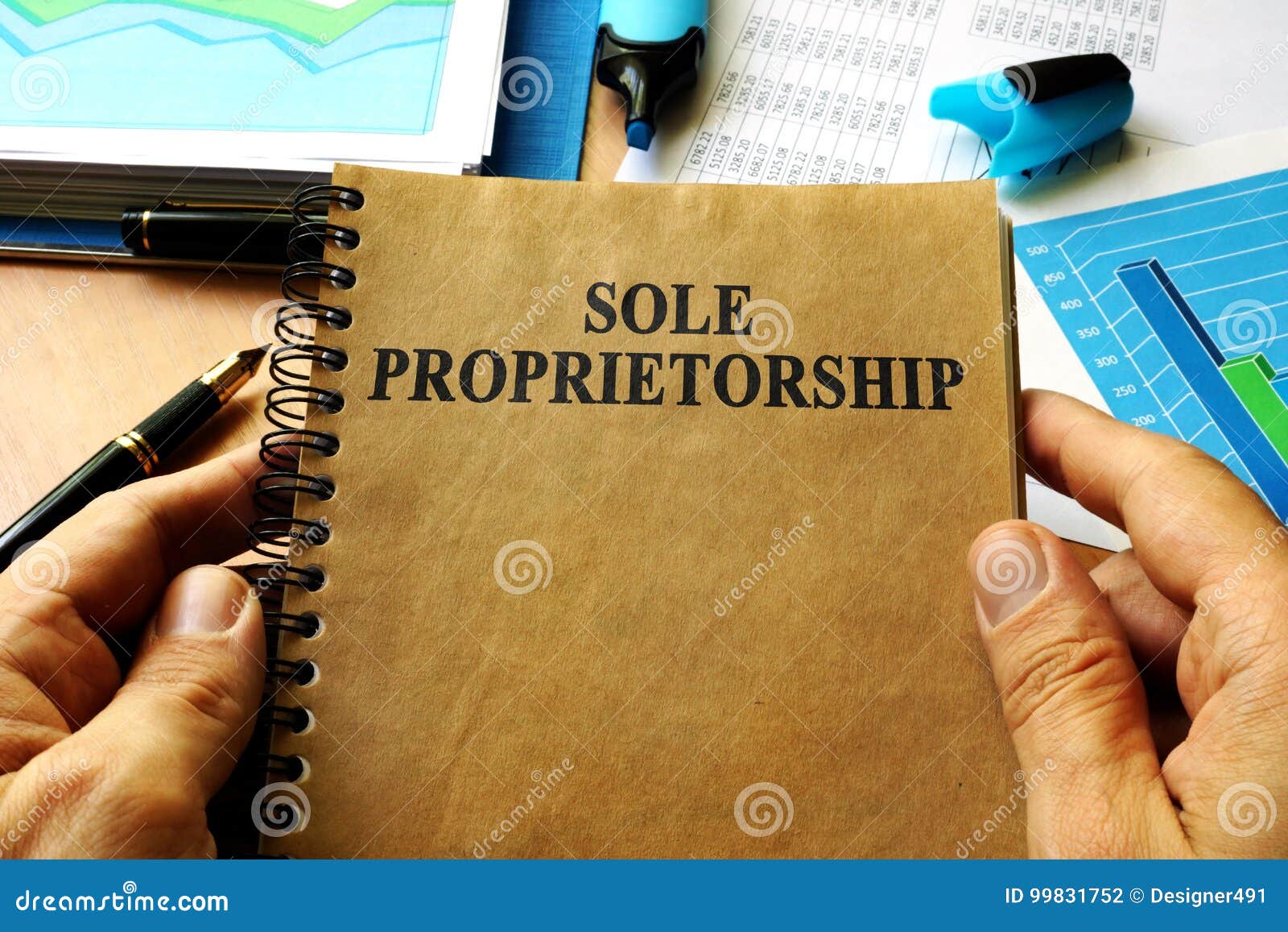 Hands Holding Book Sole Proprietorship. Stock Photo Image of
