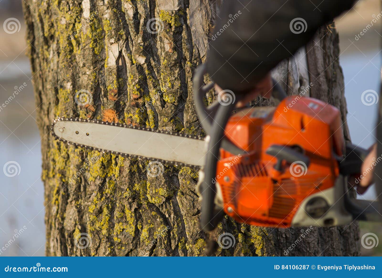 Hands holding a chainsaw stock image. Image of hand, holding 84106287