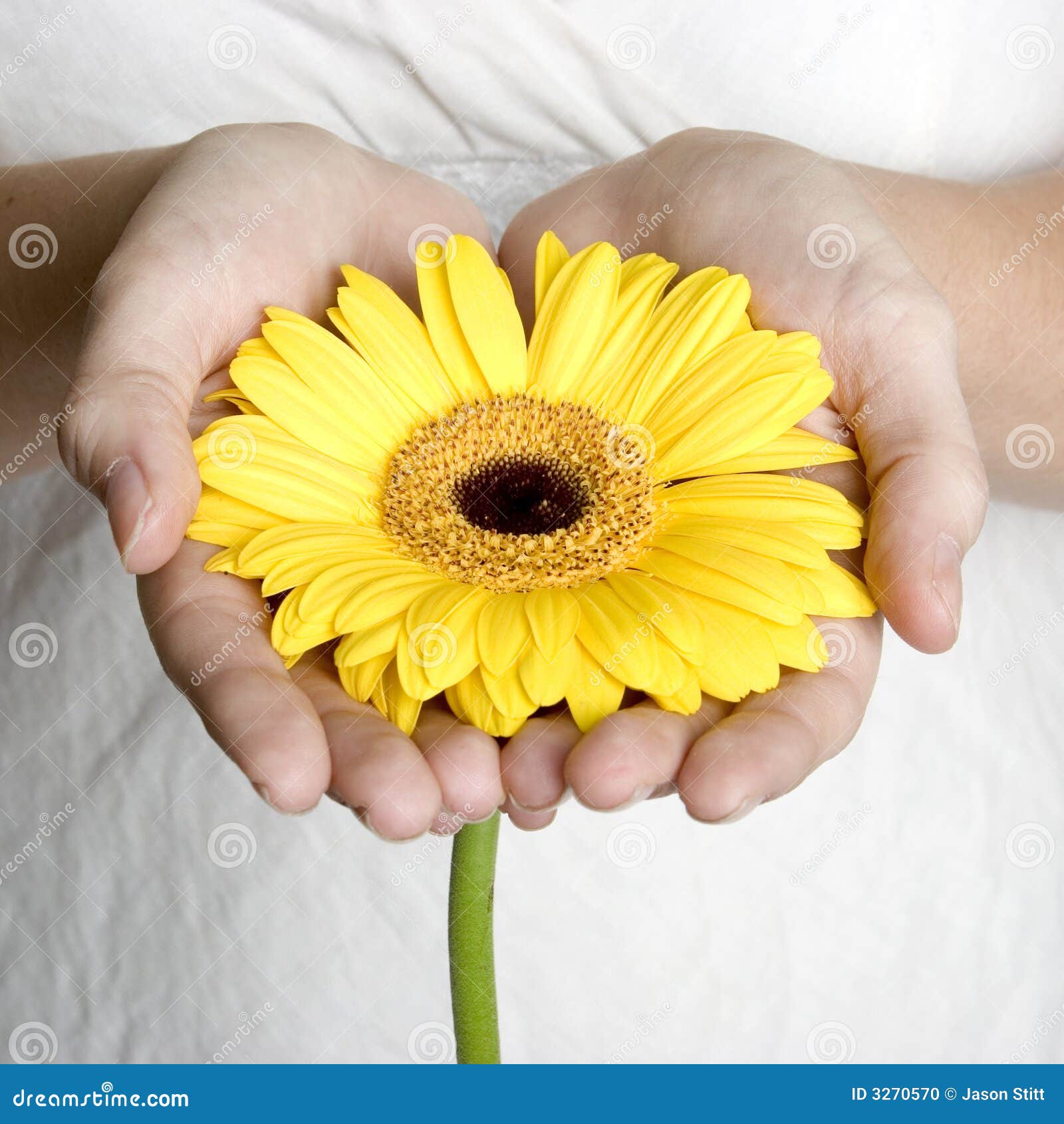 clipart hand holding flower - photo #42