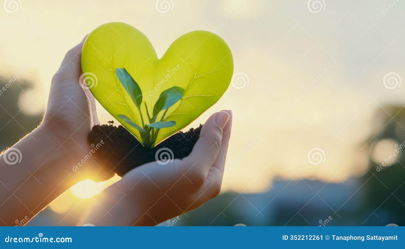 hands holding heart d plant gentle hands cradle a young plant in heartd leaves izing love nature growth