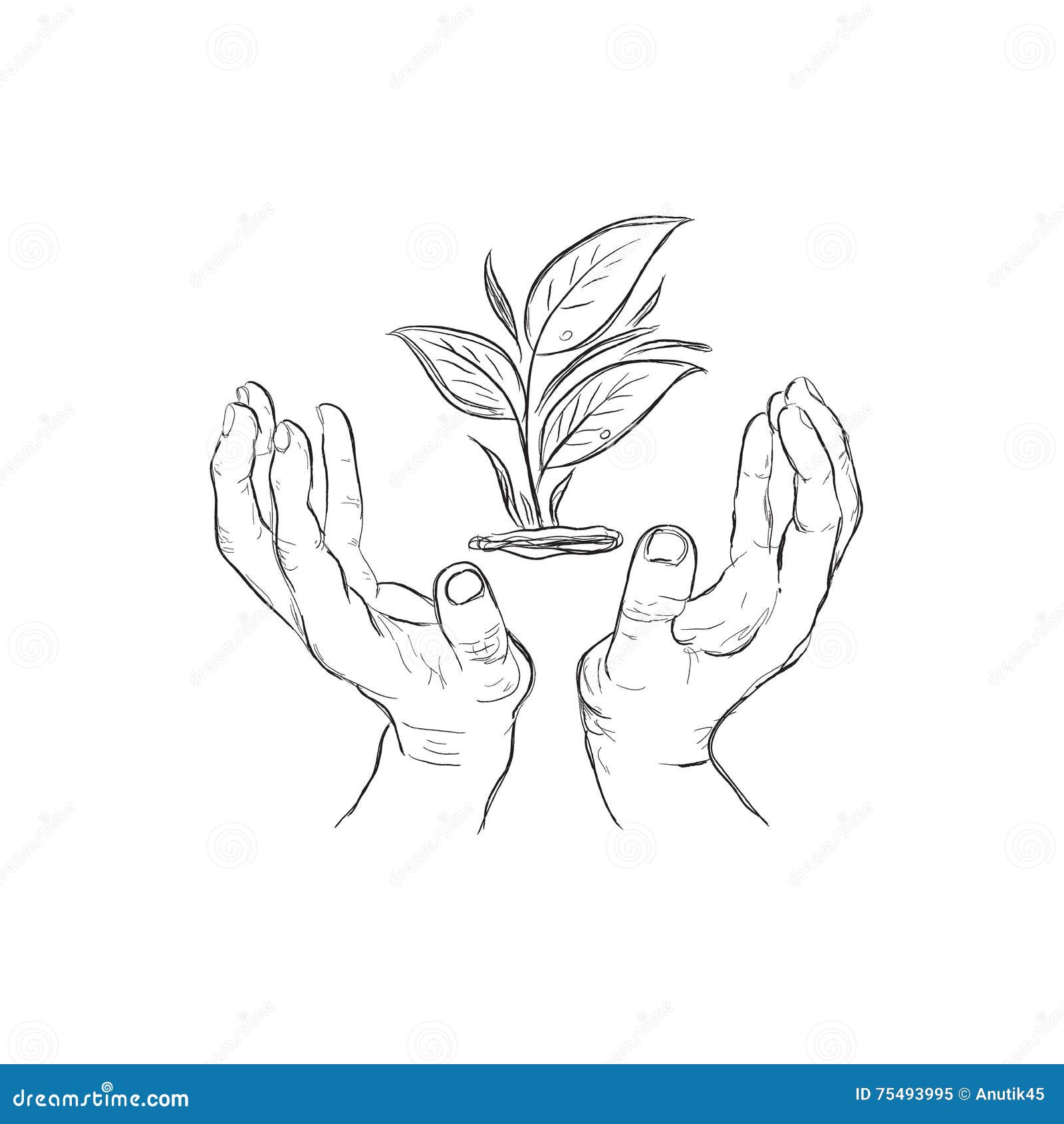 Hands Holding Plant, Sketch Style, Vector Illustration Stock Vector ...