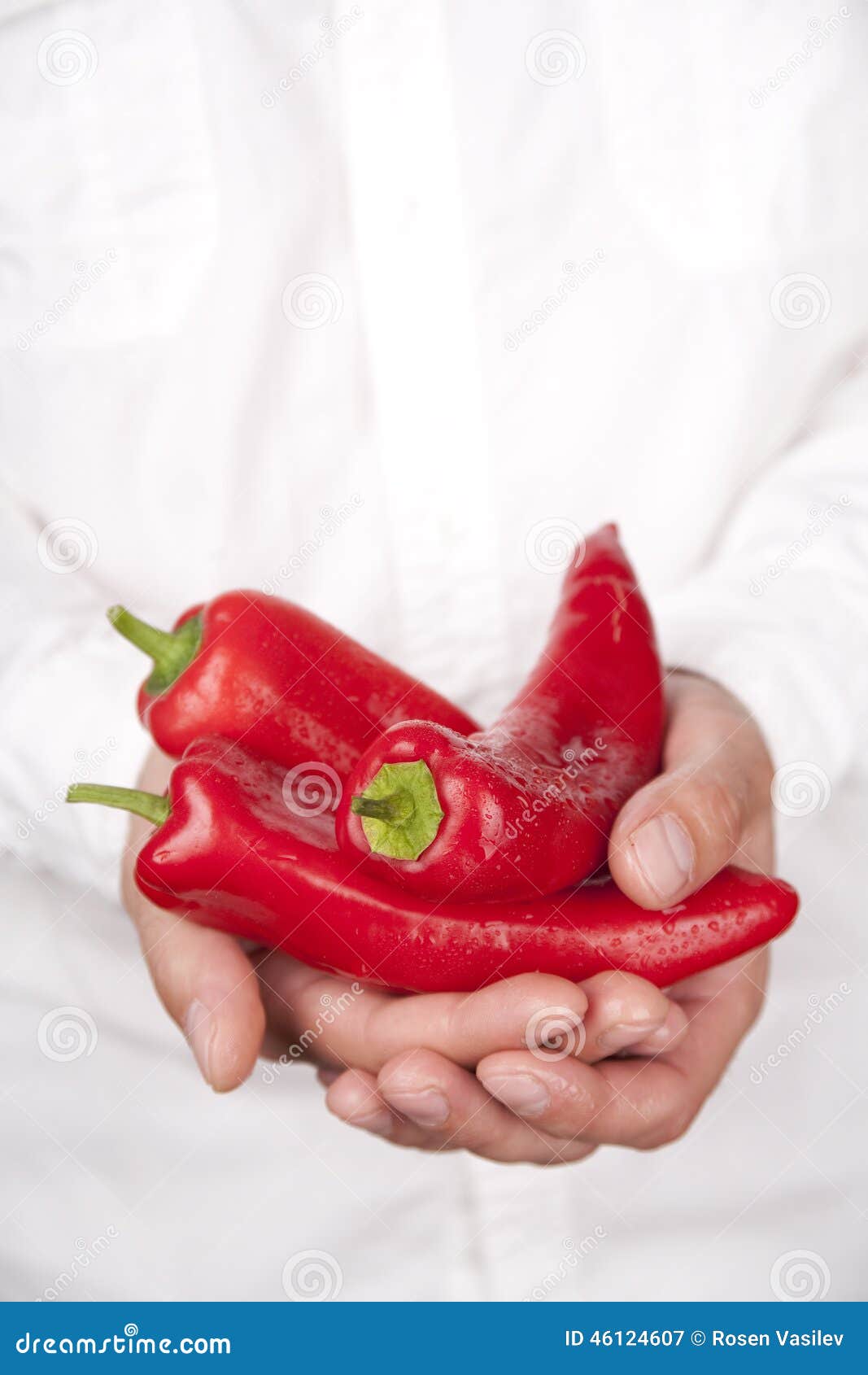 Hands holding red peppers stock image. Image of close 46124607