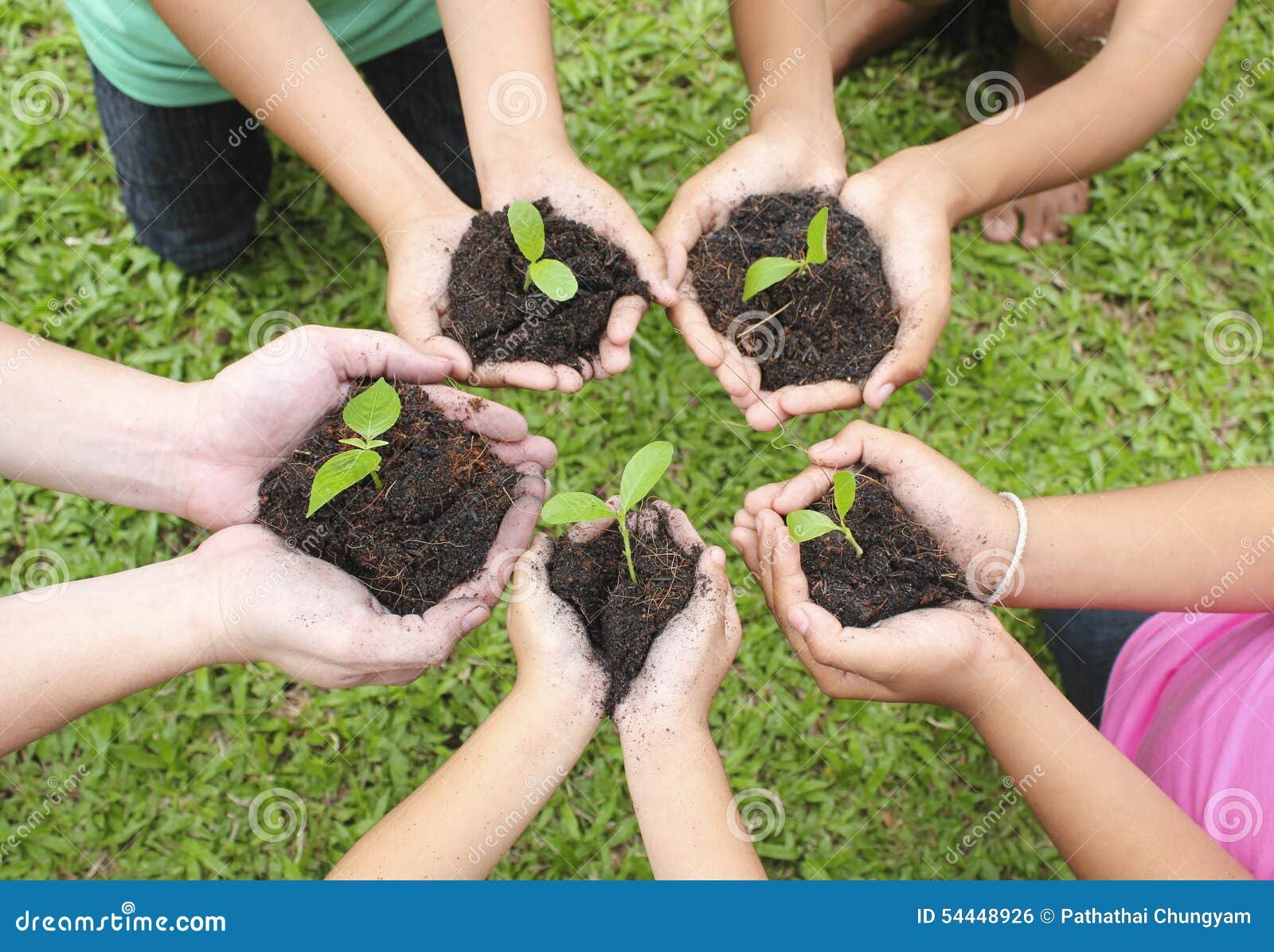 hands holding sapling in soil surface
