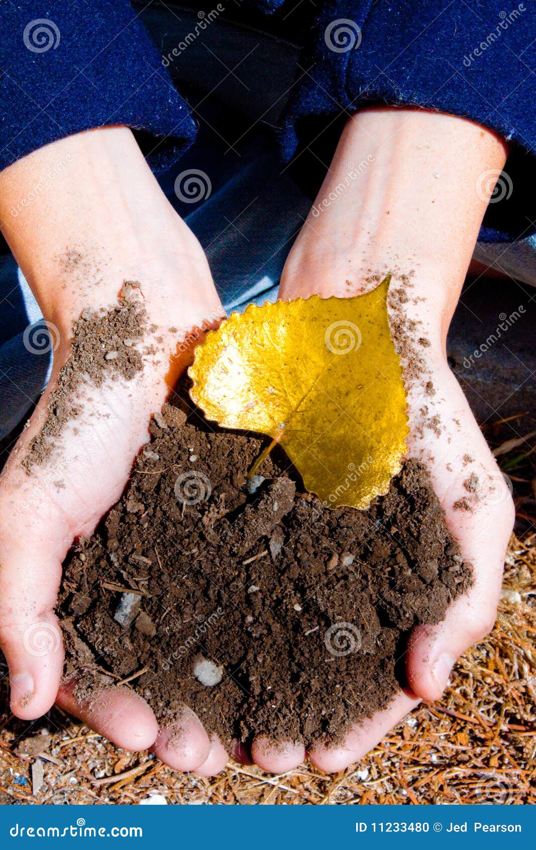 Hands Holding Soil stock photo. Image of soil, fall, nature 11233480