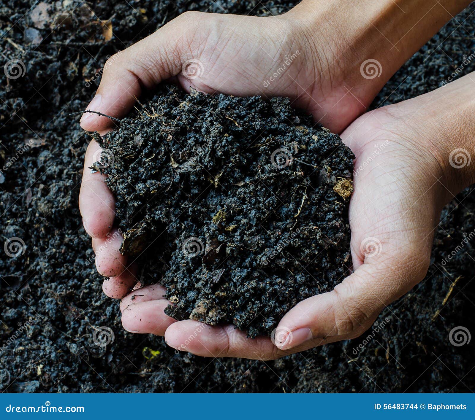 hands holding soil, organic fertilizer