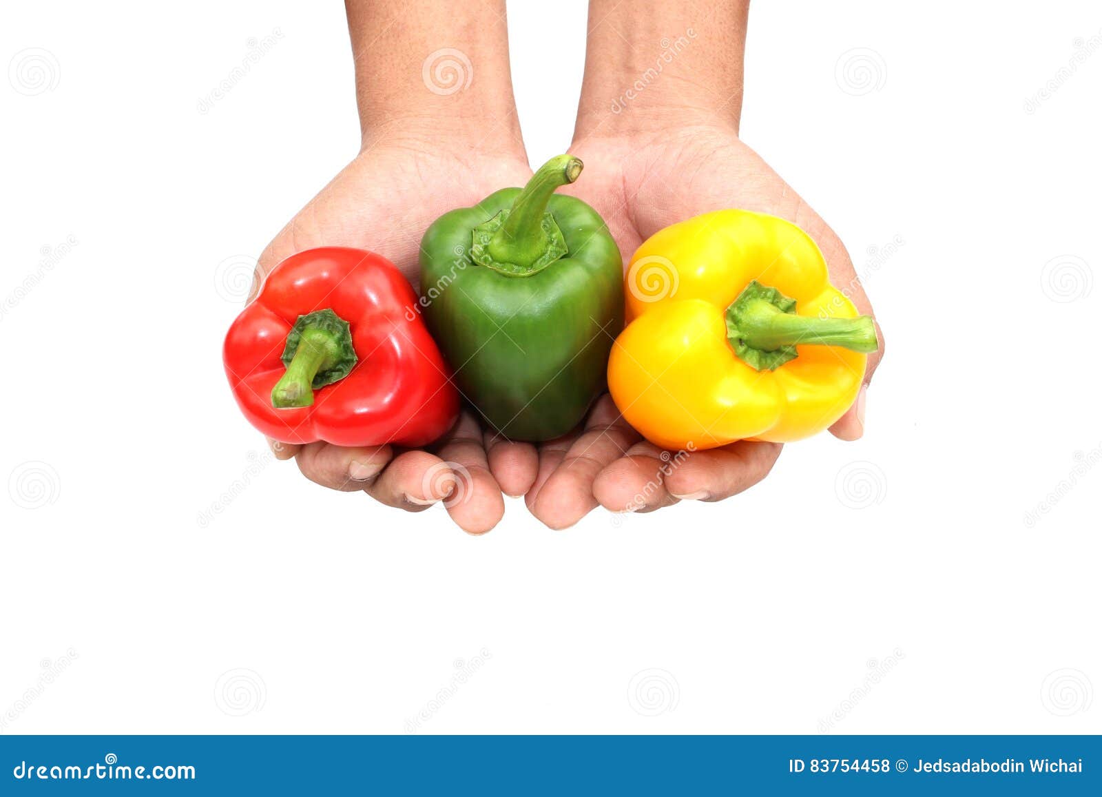 Hands Holding Sweet Peppers on White Stock Photo Image of peppers