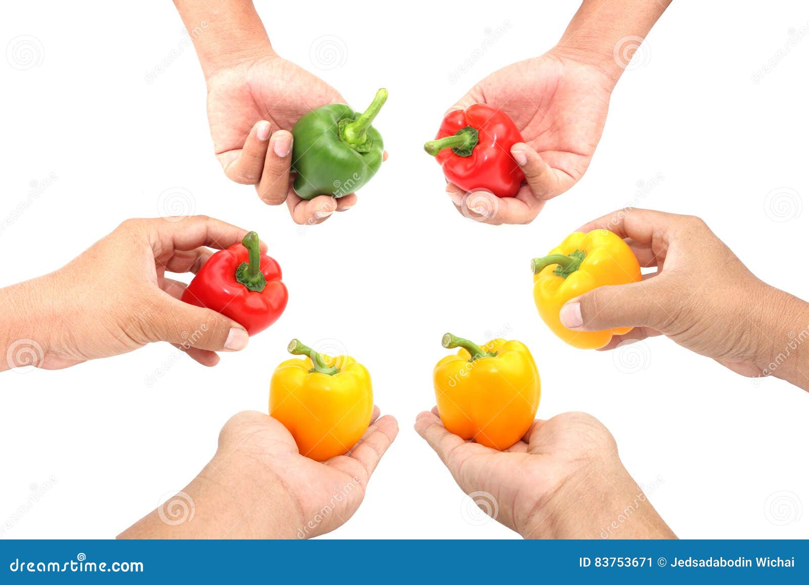 Hands Holding Sweet Peppers on White Background Stock Image Image of