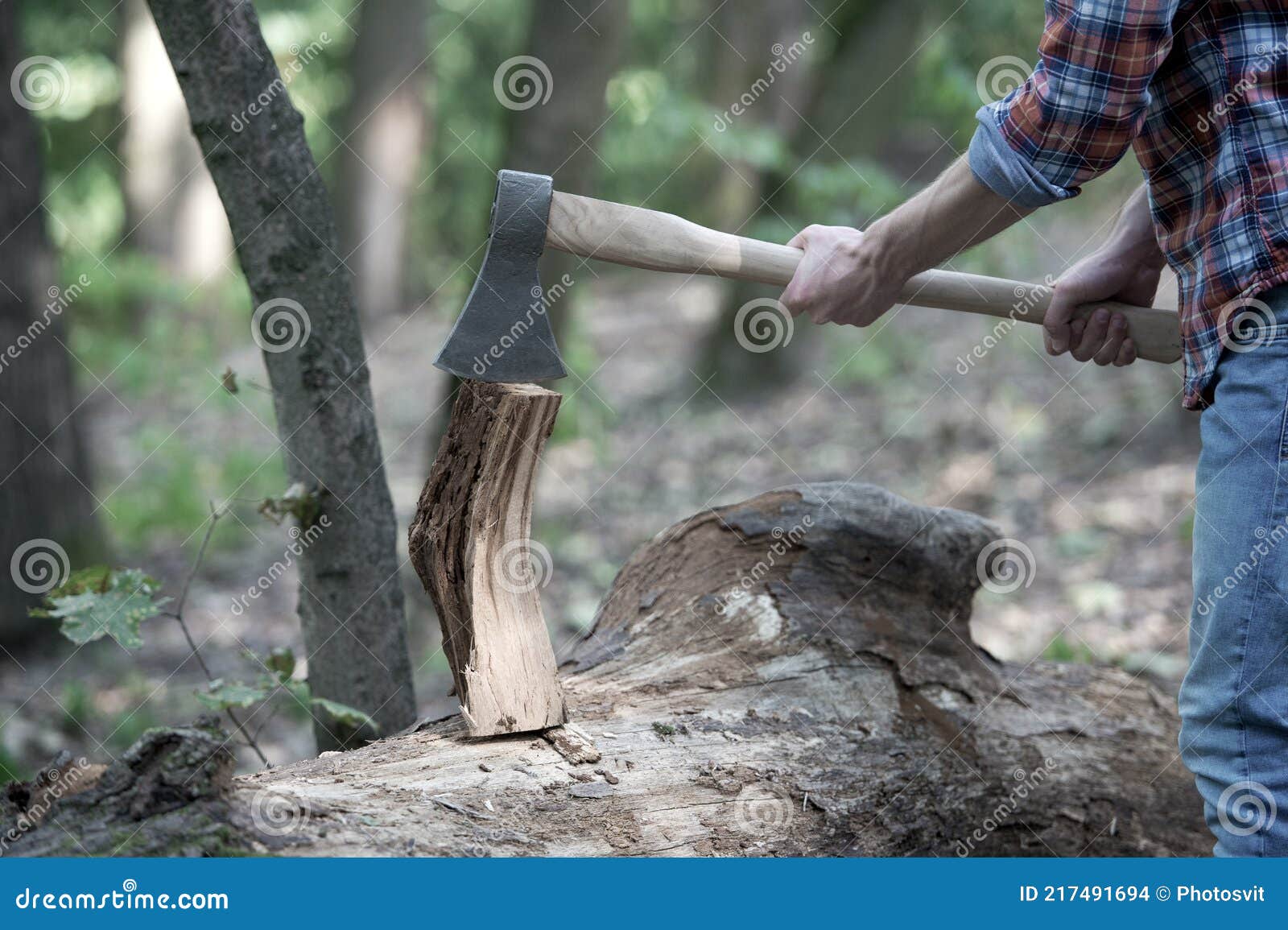 Hands of Lumberjack with Axe Cut a Tree, Forest Stock Photo Image of energy, concept 217491694