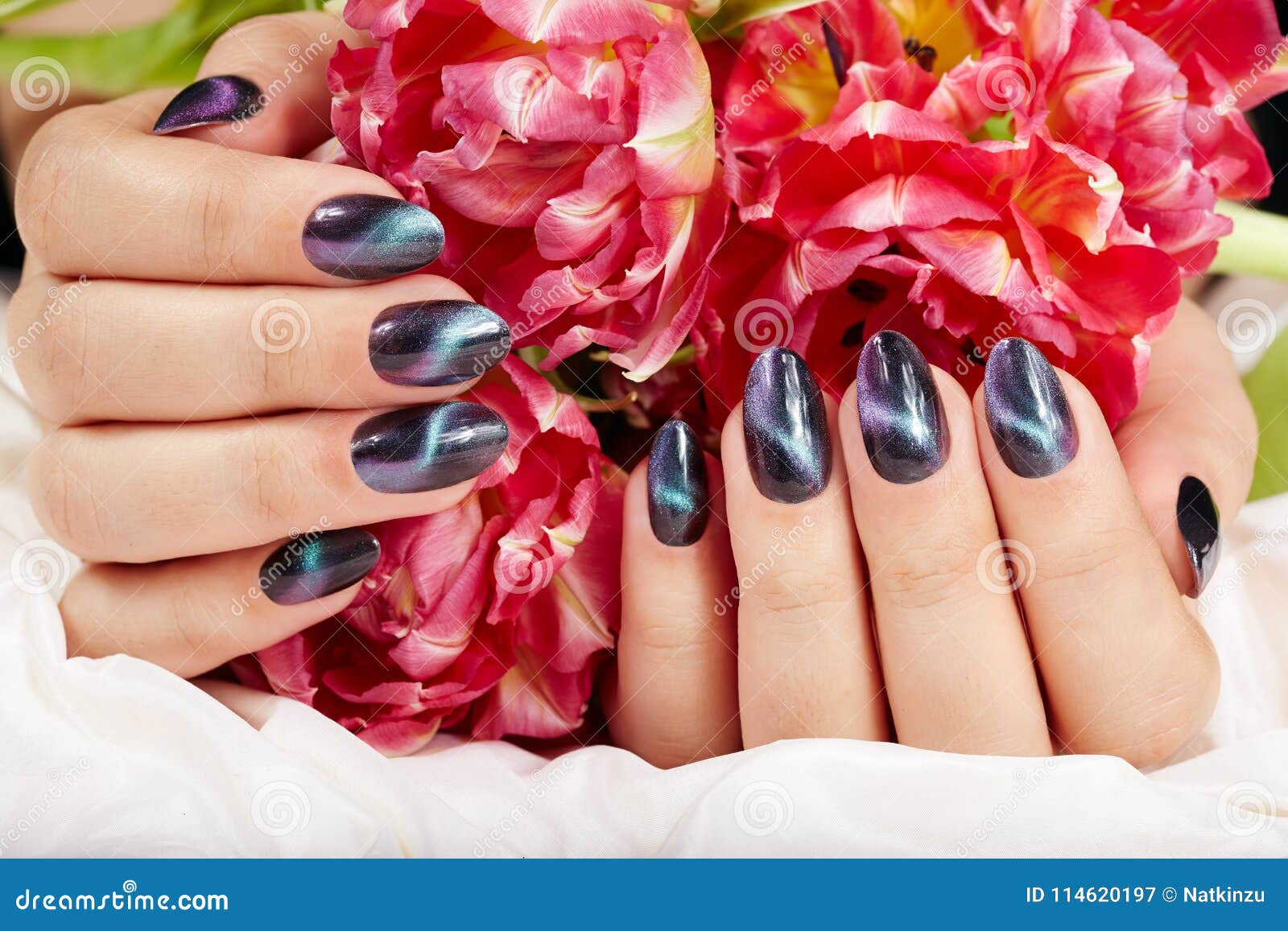 Hands with Manicured Nails with Cat Eye Design Stock Image - Image of beautiful, beauty: 114620197 Hands with Manicured Nails with Cat Eye Design Stock Image - Image of beautiful, beauty: 114620197