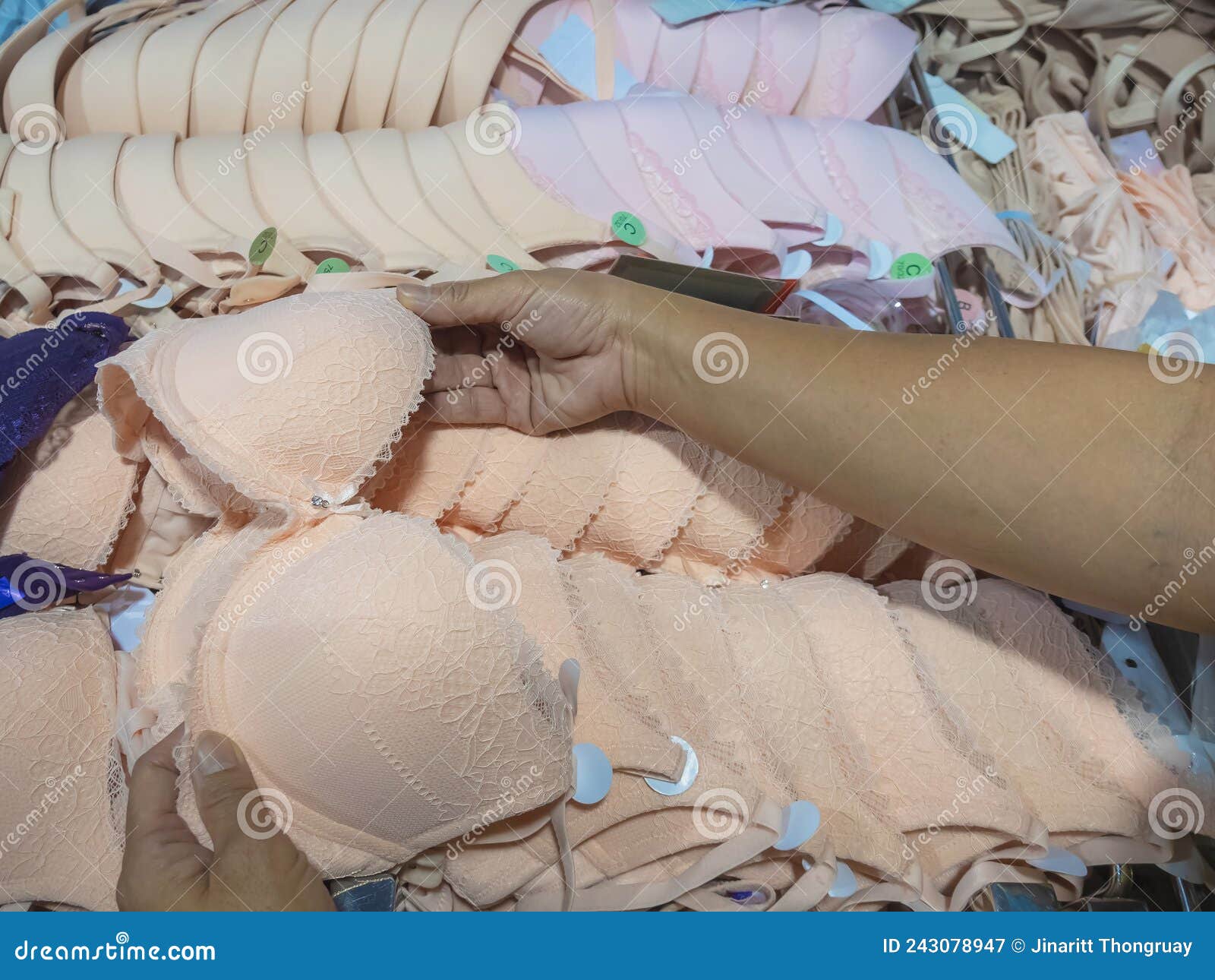 Hands of Mature Woman Choosing or Searching New Brassiere Cups