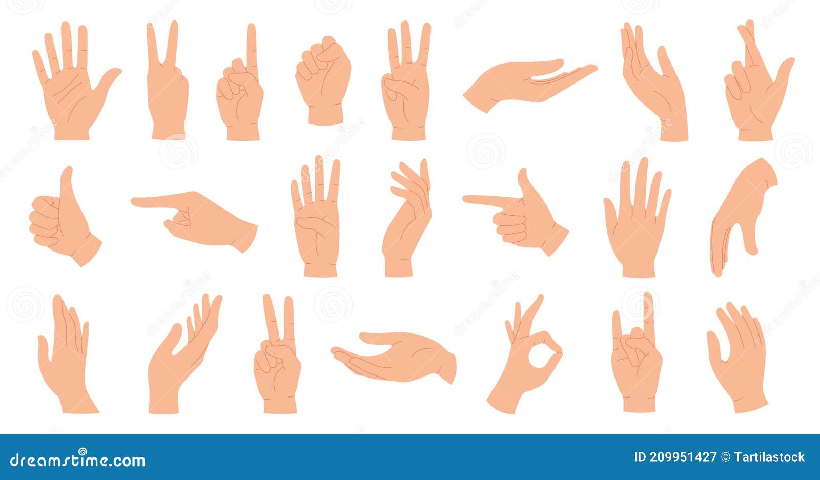 hands poses. female hand holding and pointing gestures, fingers crossed, fist, peace and thumb up. cartoon human palms