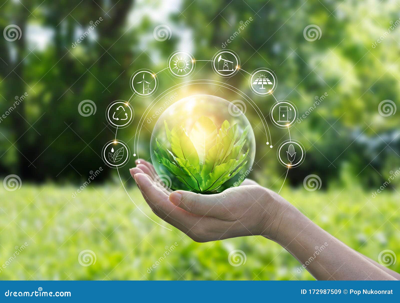hands protecting globe of green tree on tropical nature summer background, ecology and environment concept