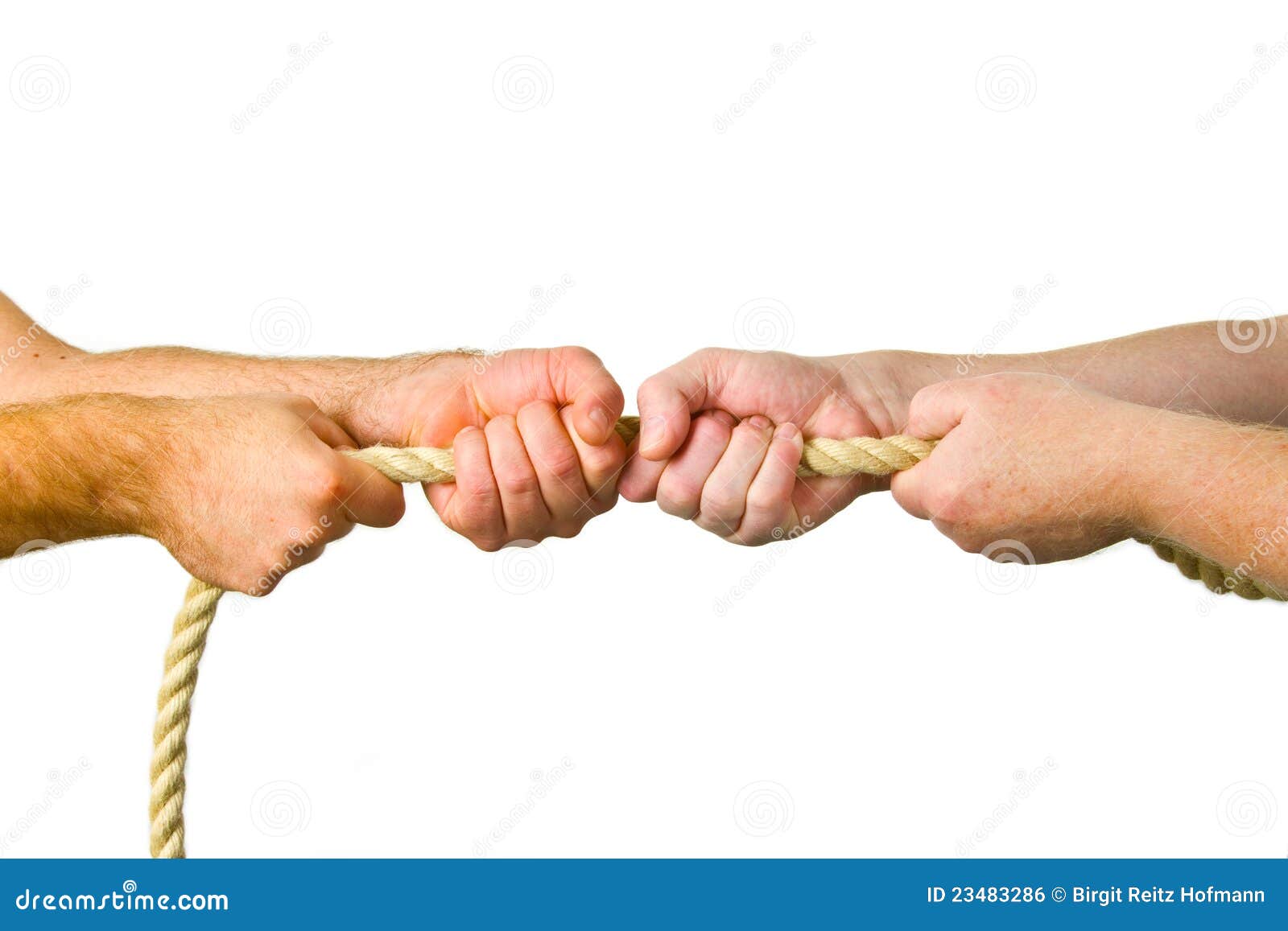 Hands pull a rope stock photo. Image of motivation, human - 23483286
