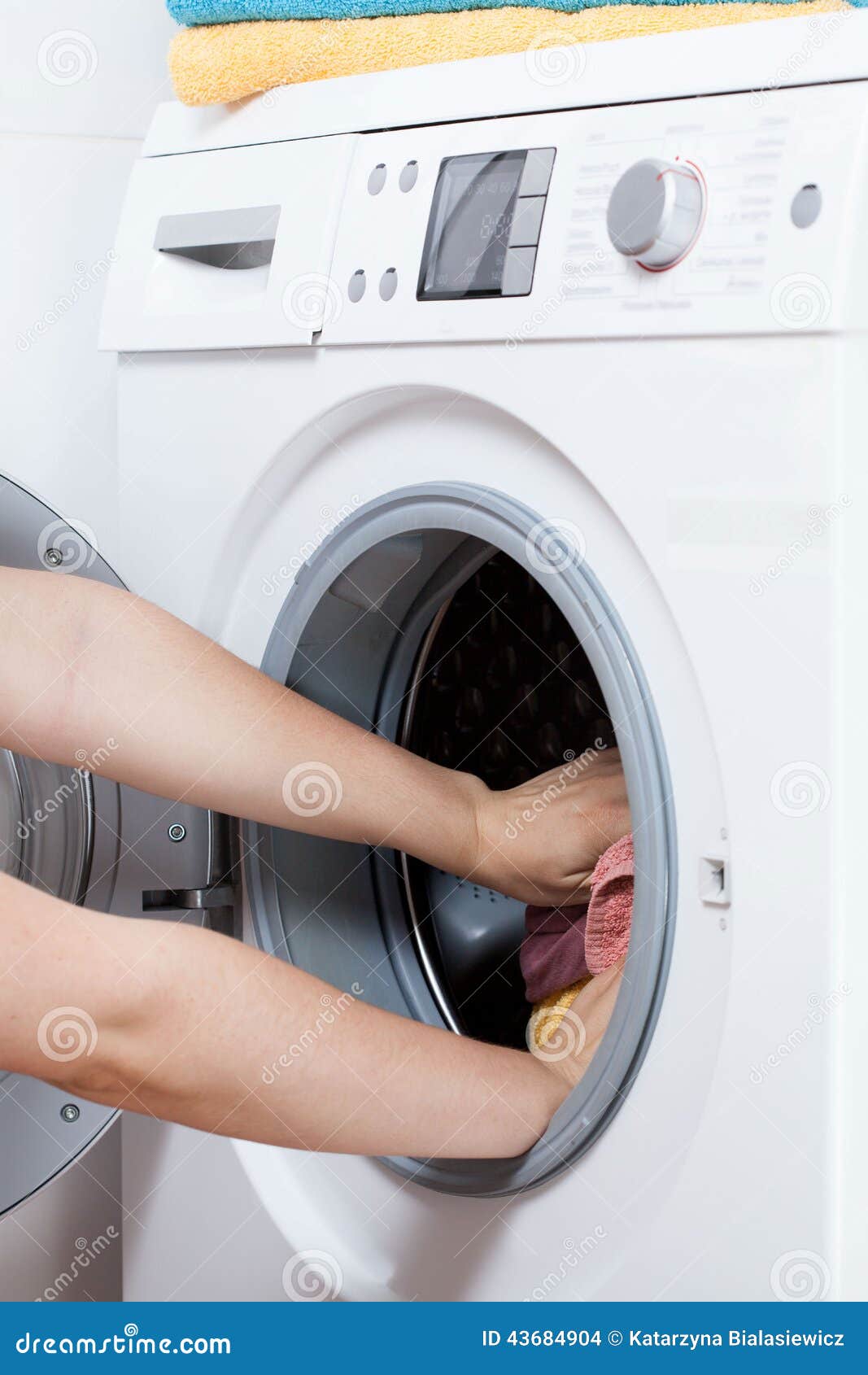 Hands Putting Laundry into the Washing Machine Drum Stock Photo Image