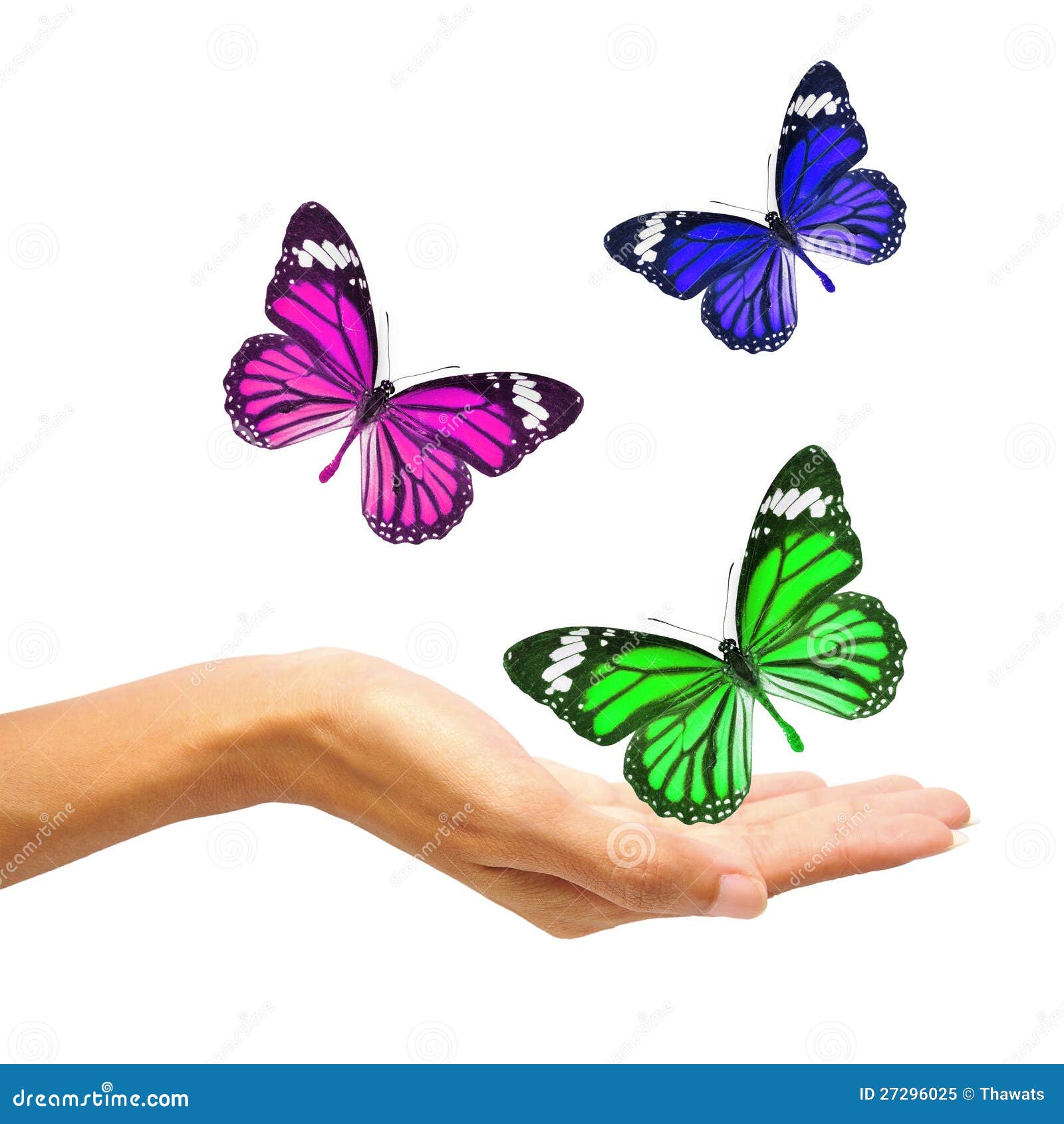 Hands Releasing Butterflies Stock Image Image of isolated, yellow