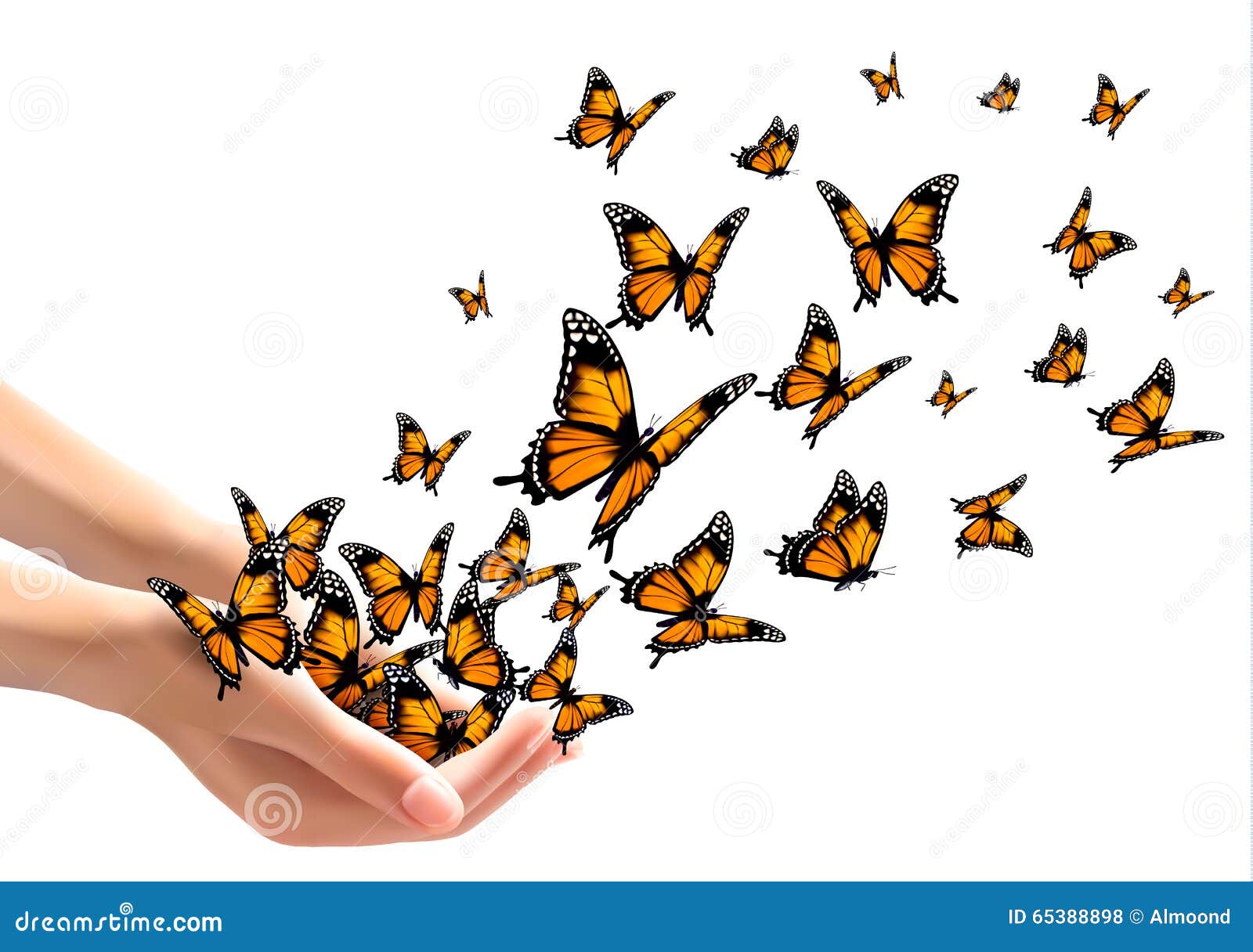 hands releasing butterflies.