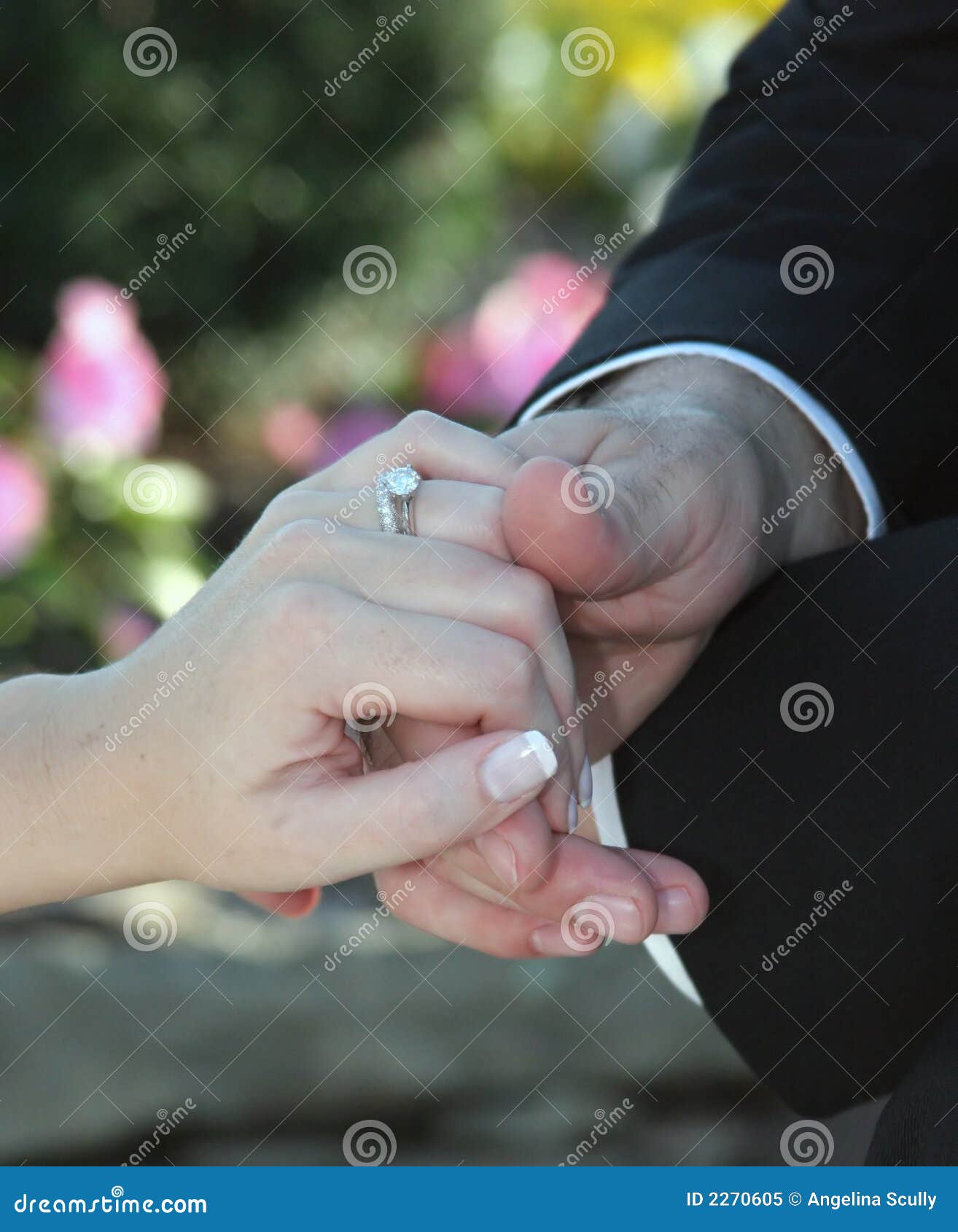 2,842 Wedding Couple Holding Hands Stock Photos, High-Res Pictures, and  Images - Getty Images