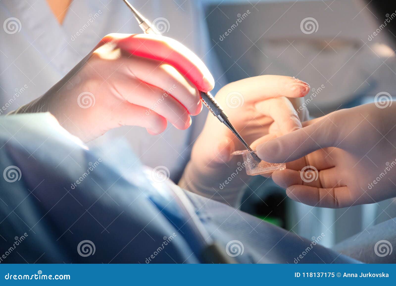 Hands of the Surgeon of the Dentist and the Assistant in Protective