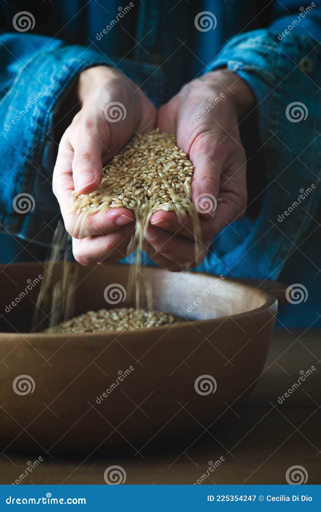 Hands Throwing Yamani Rice. Stock Image Image of agricultural, hand