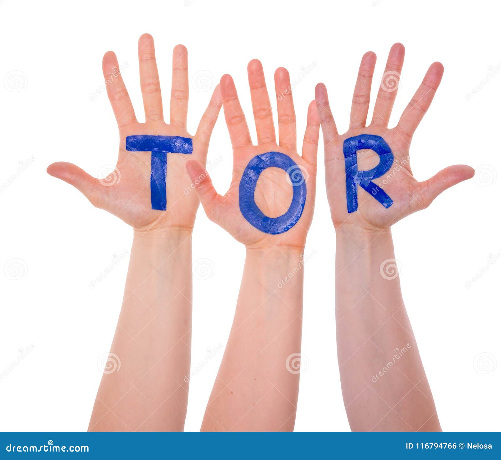 what is tor means what is tor means