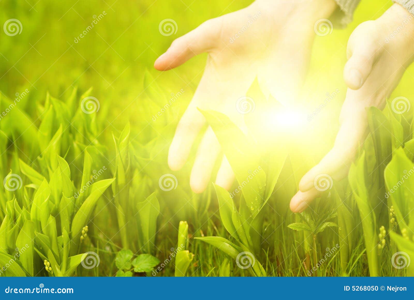 Close Up Of A Woman's Hand Touching The Saturated Grass, 'feeling Nature'  Stock Photo, Picture and Royalty Free Image. Image 43047099.