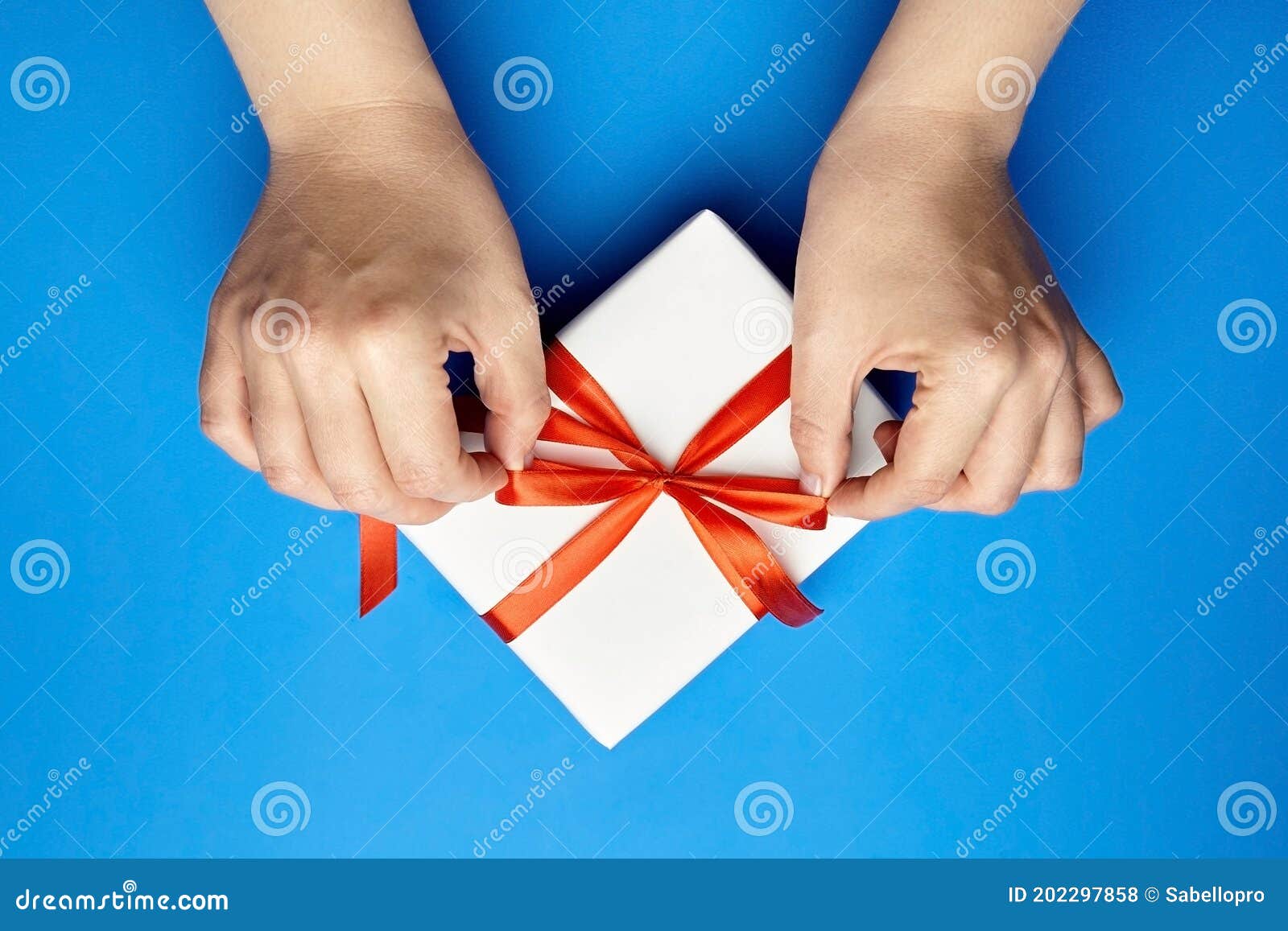 Hands Tying Red Ribbon on White Gift Box on Blue Stock Photo Image of