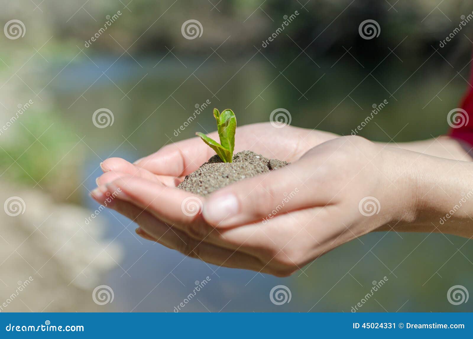 hands up blue and green lake