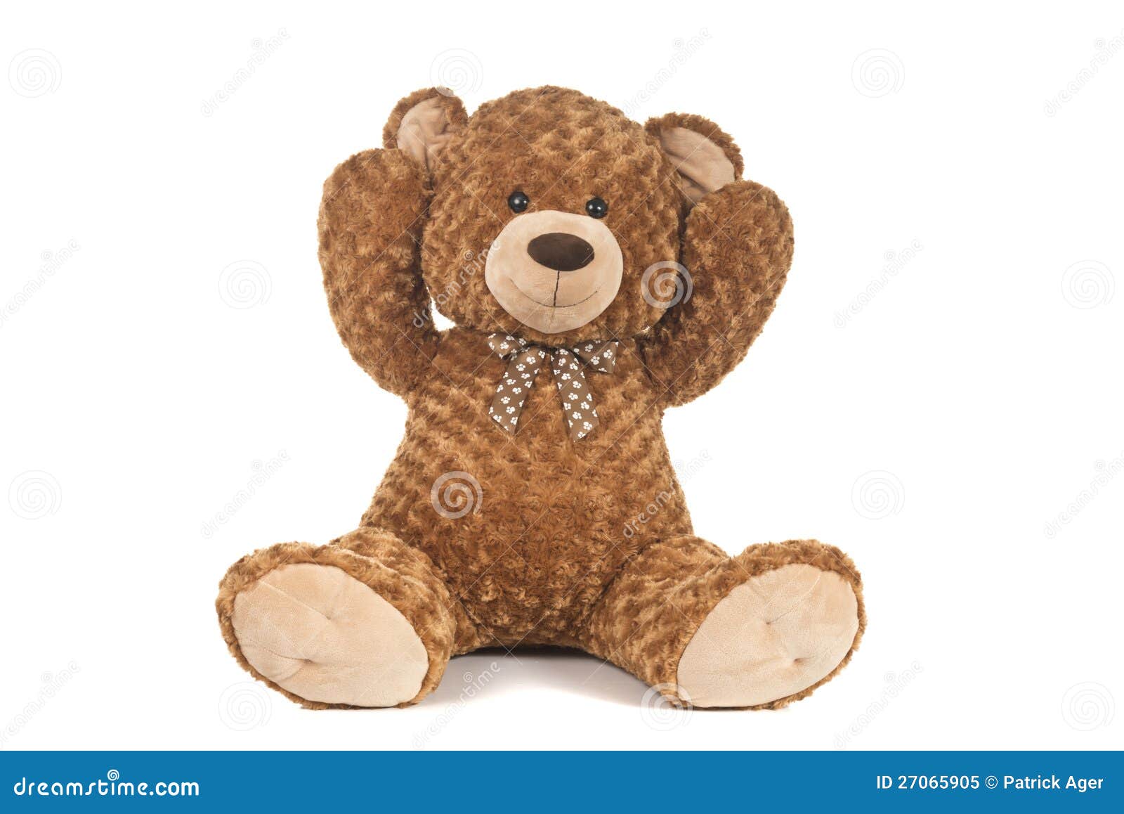 Hands Up Teddy Bear Royalty Free Stock Photo Image 27065905