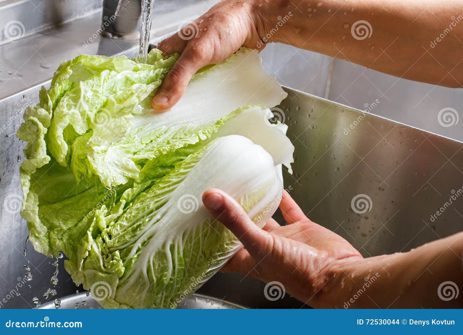 Hands Washing Chinese Cabbage Stock Photo Image Of Green