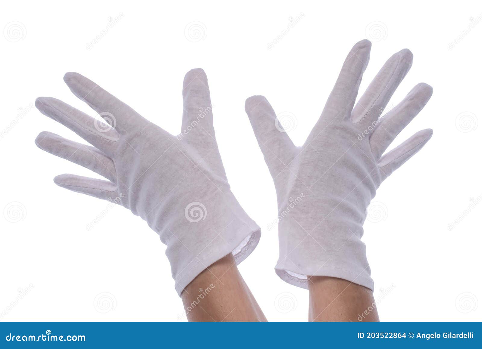 Hands Wearing White Gloves on White Background Stock Photo Image of