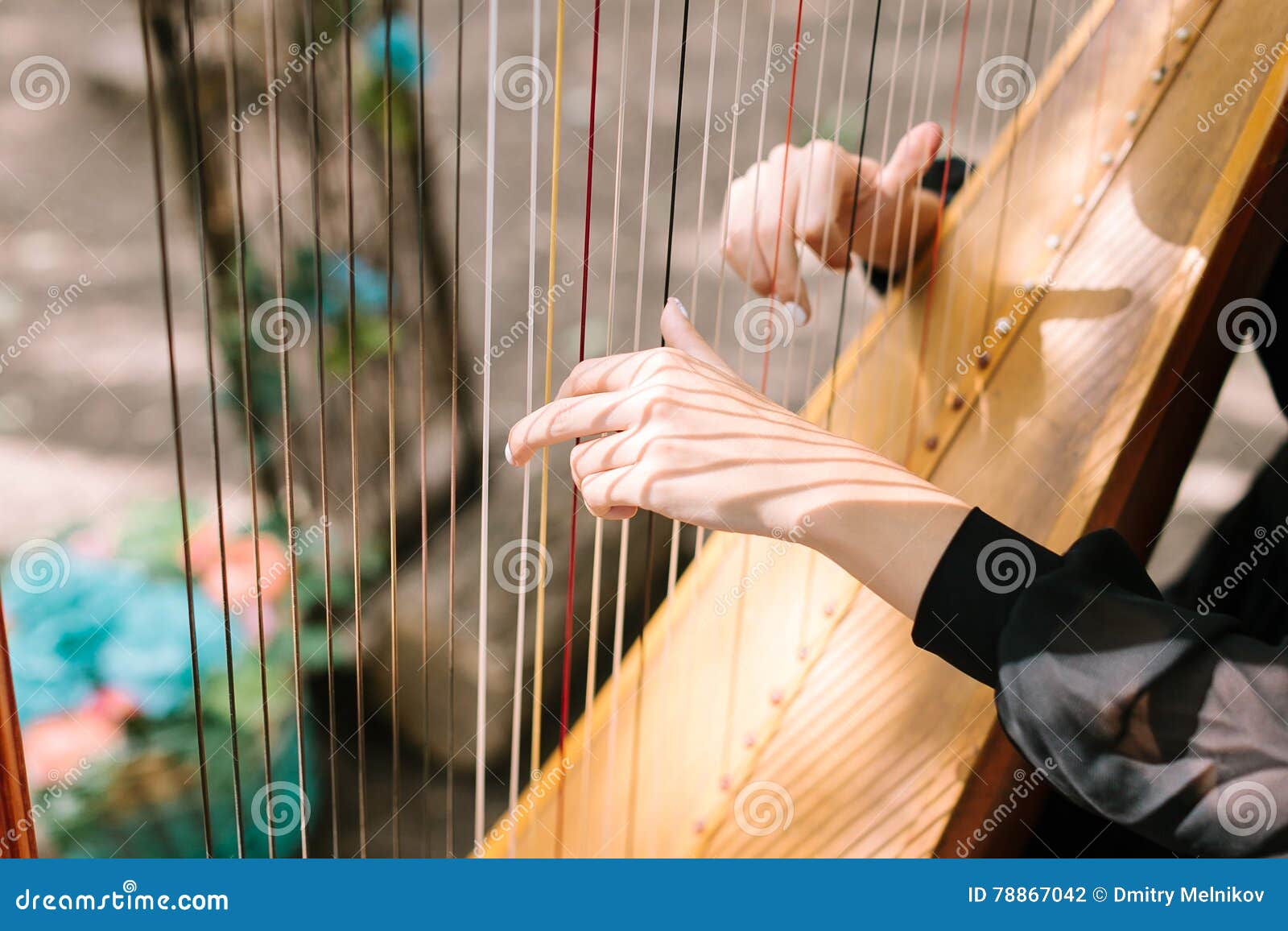 hands of the woman playing a harp. symphonic orchestra. harpist
